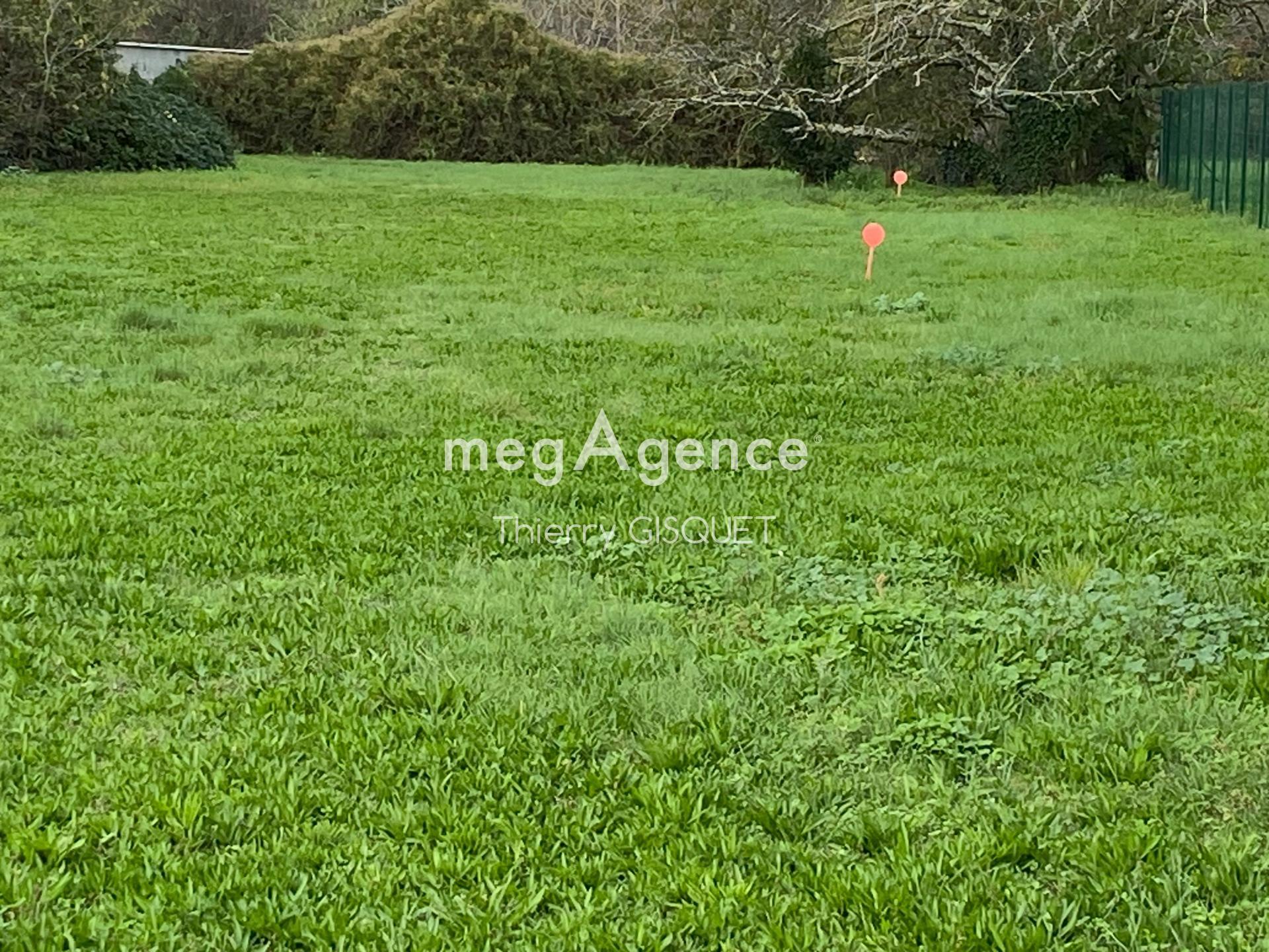 Miniature photo - 4 / 4