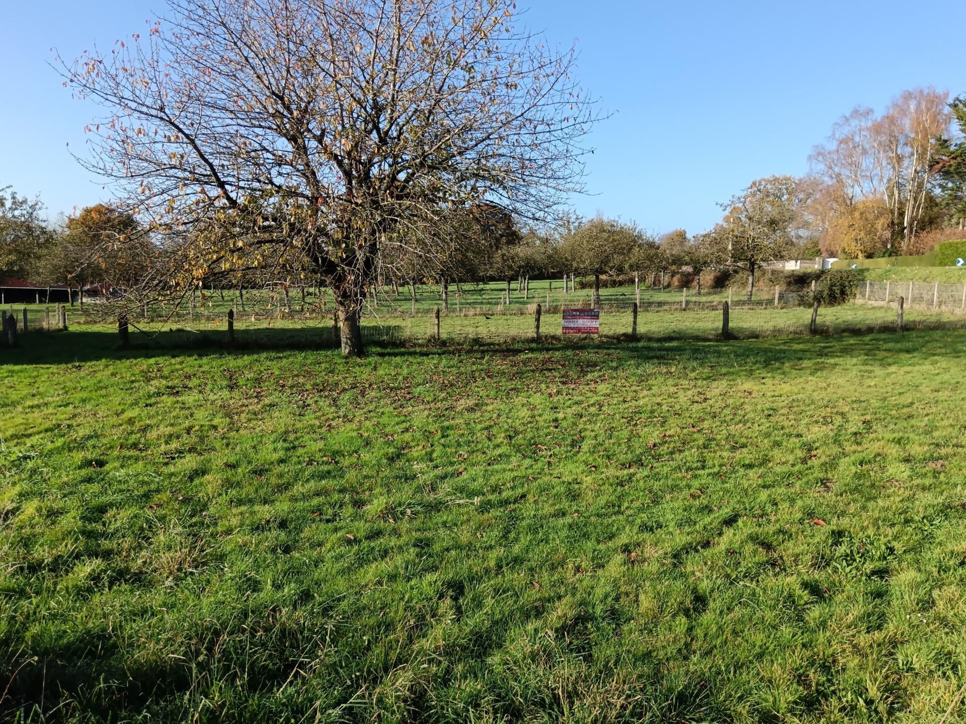 Photographie descriptive du bien