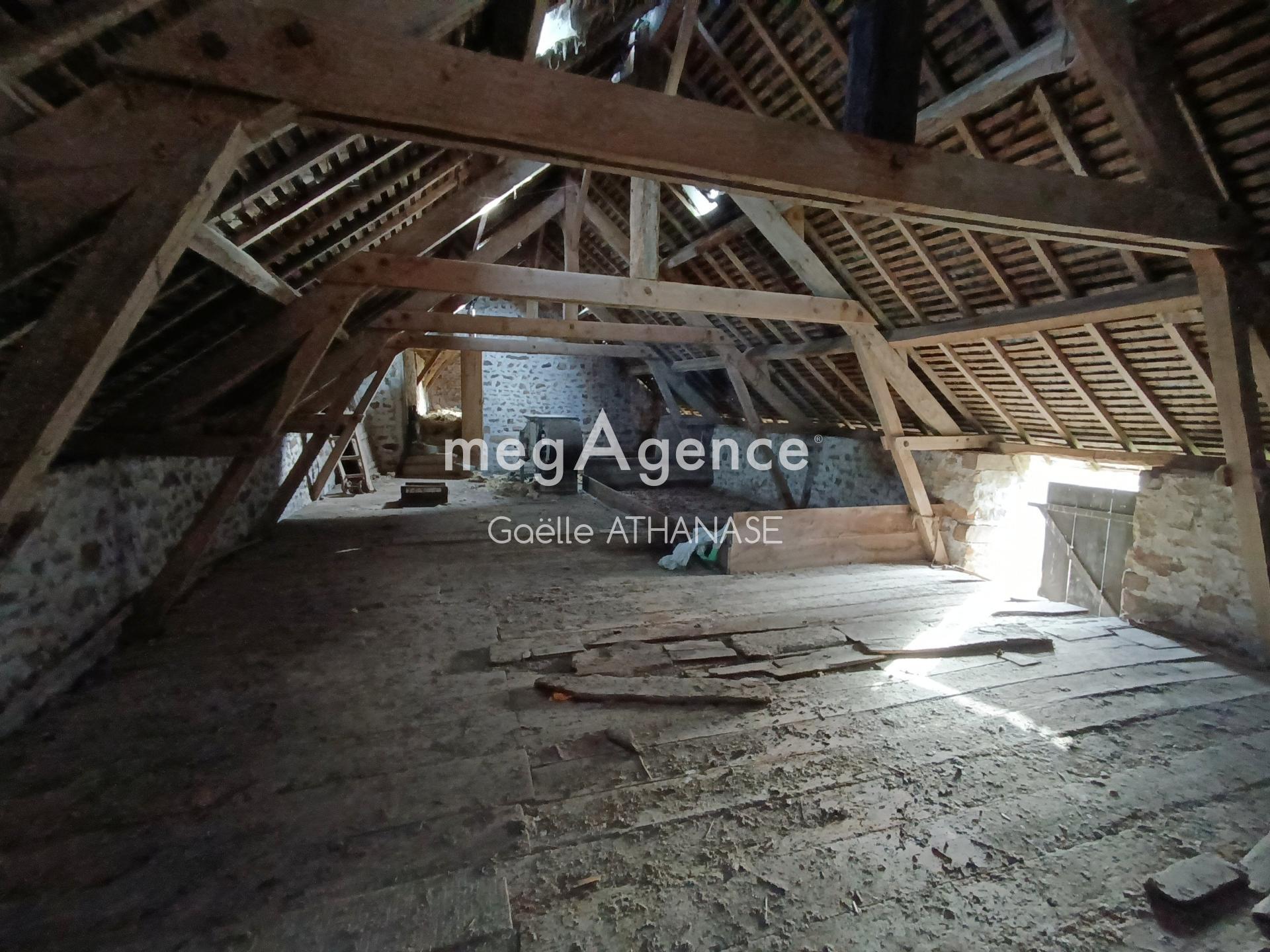 Miniature photo - 14 / 14