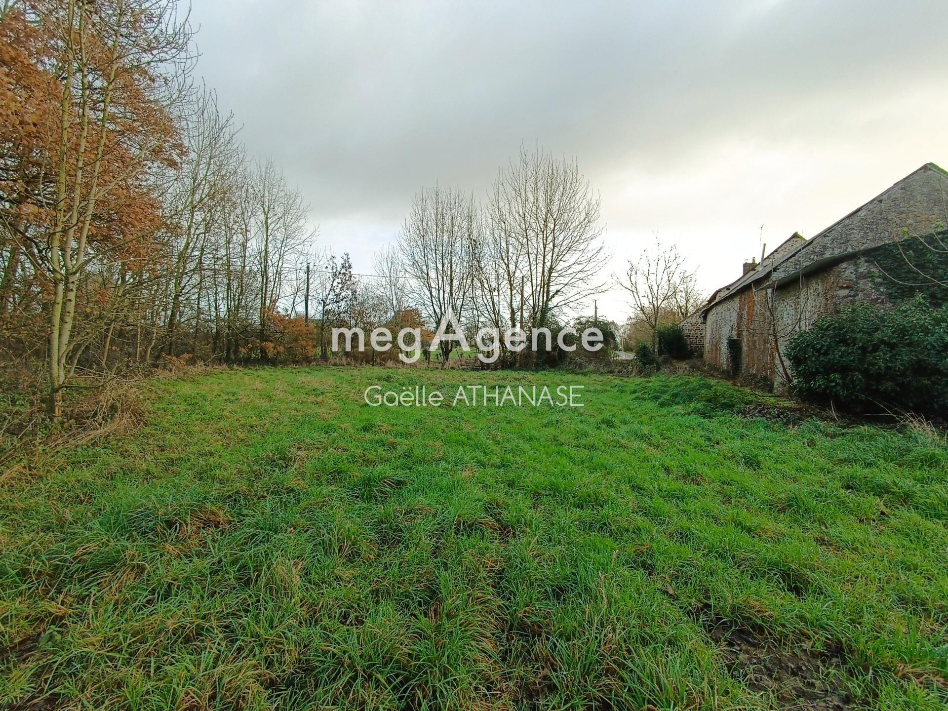 Miniature photo - 4 / 14