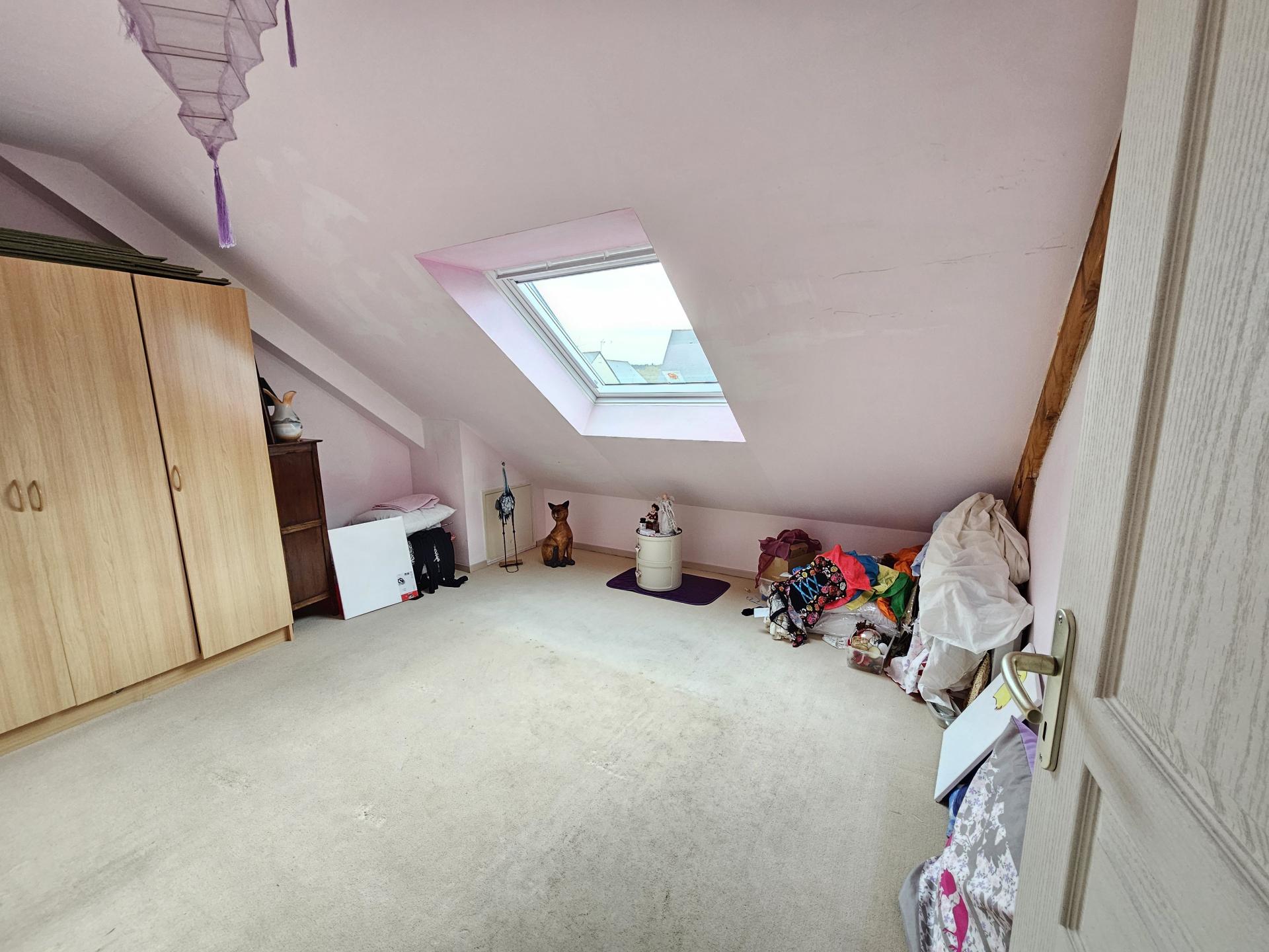 Miniature photo - 4 / 13