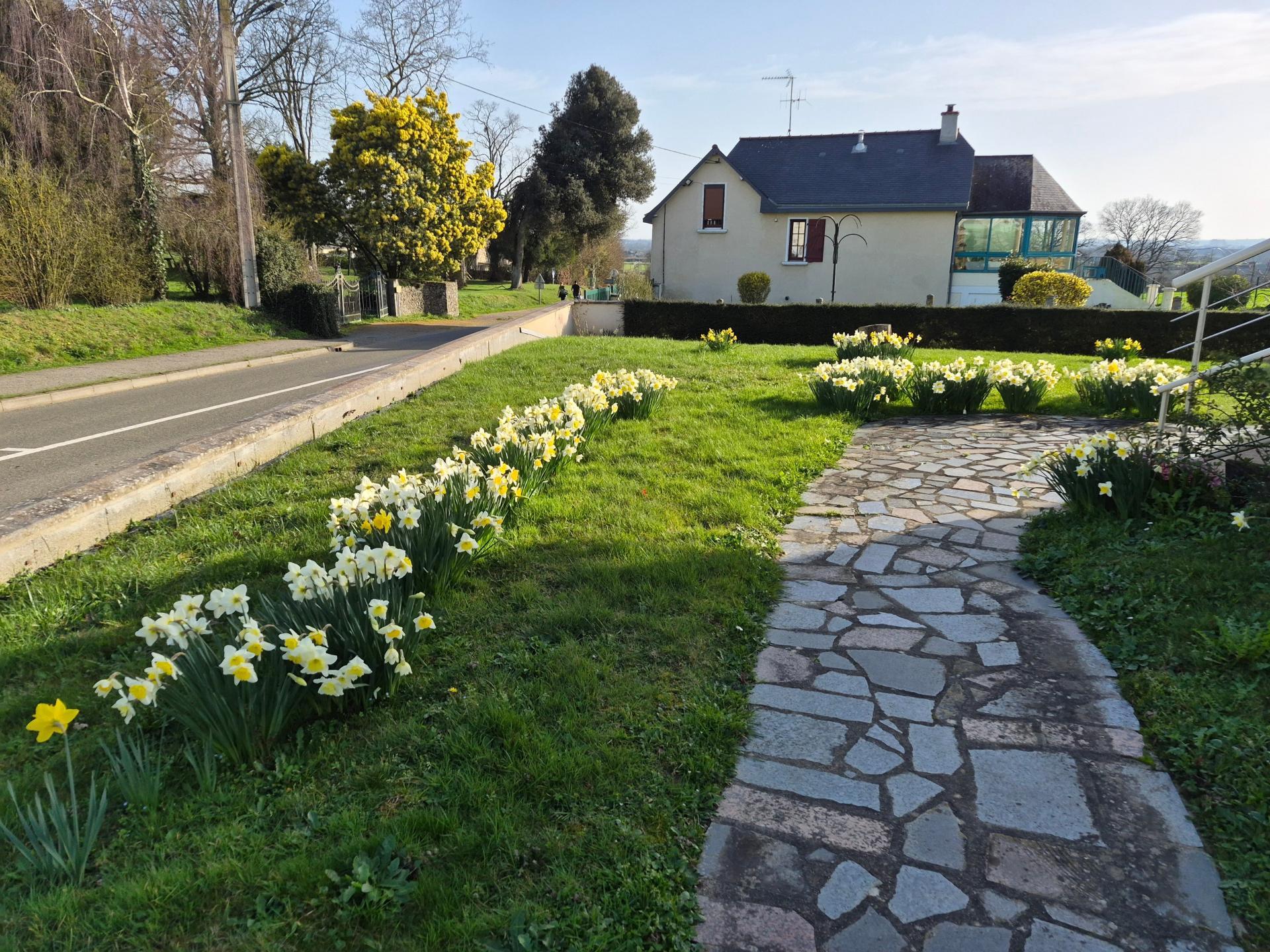 Miniature photo - 2 / 9