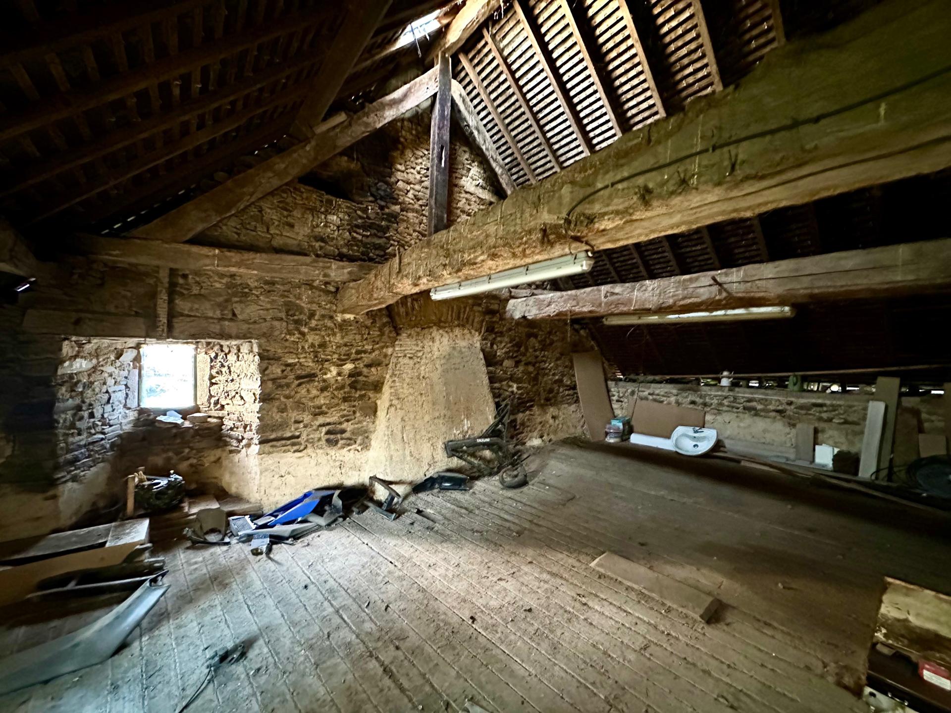 Miniature photo - 6 / 6