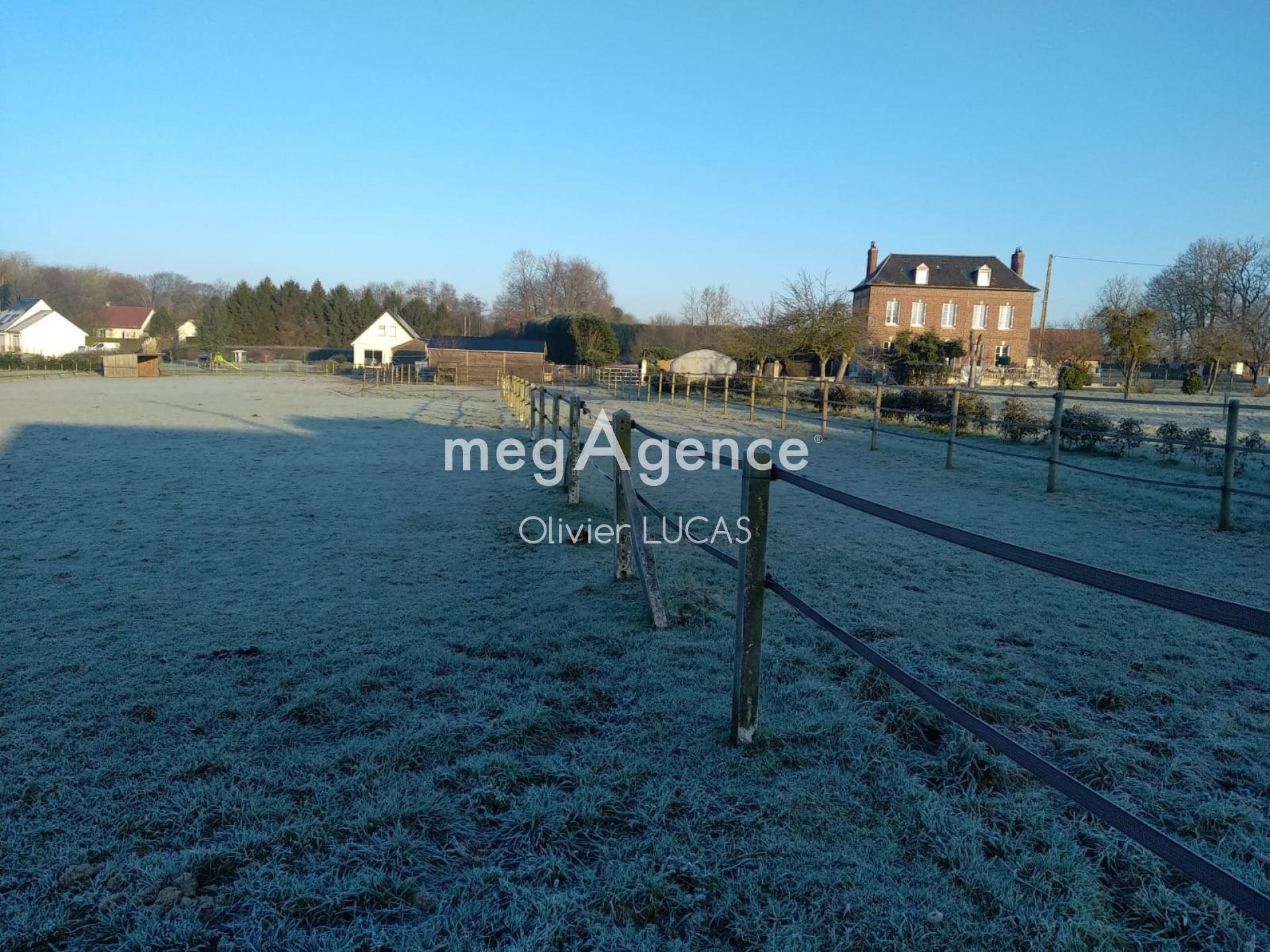 Miniature photo - 4 / 19