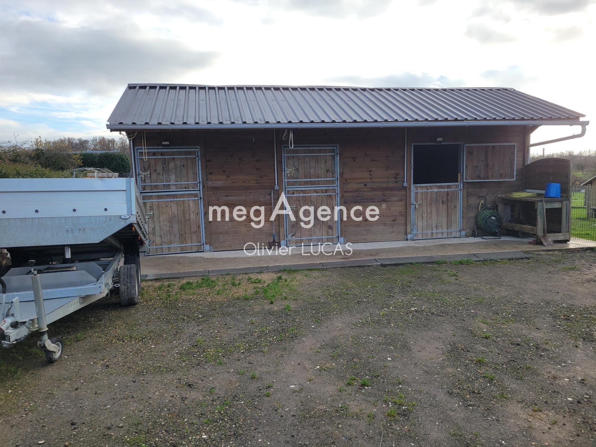 Miniature photo - 12 / 19