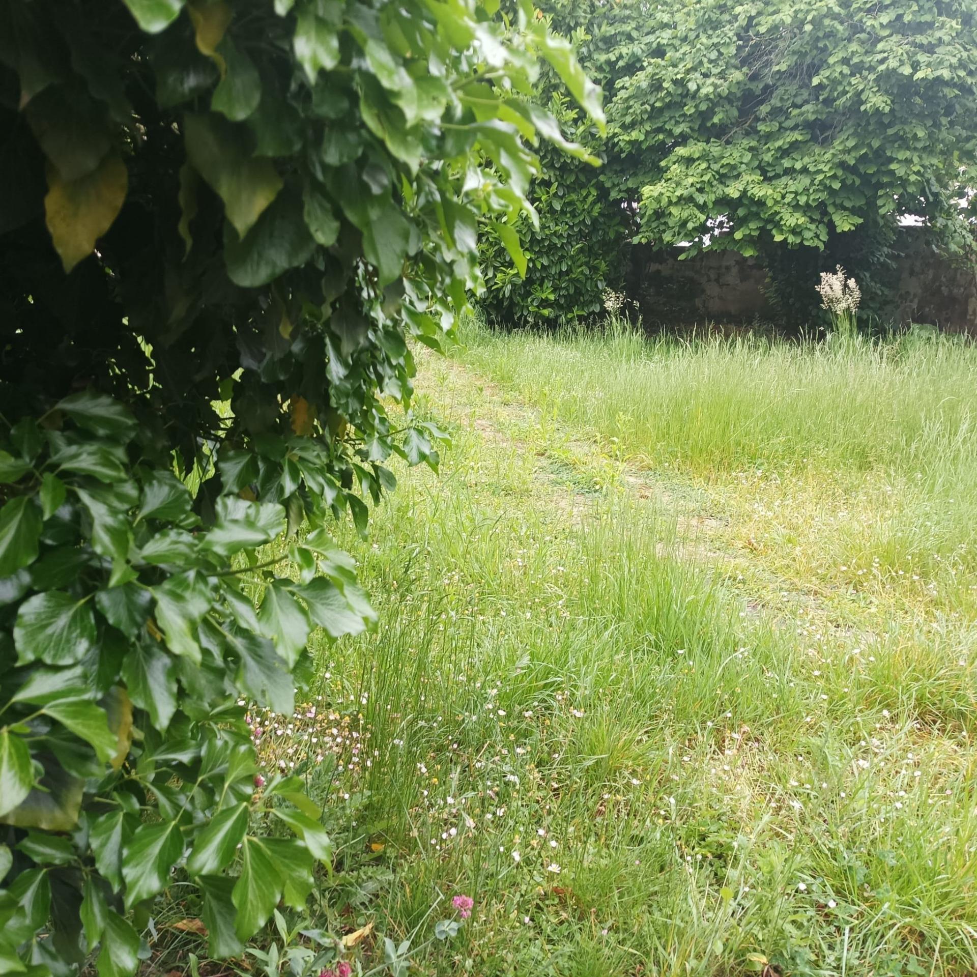 Photographie descriptive du bien