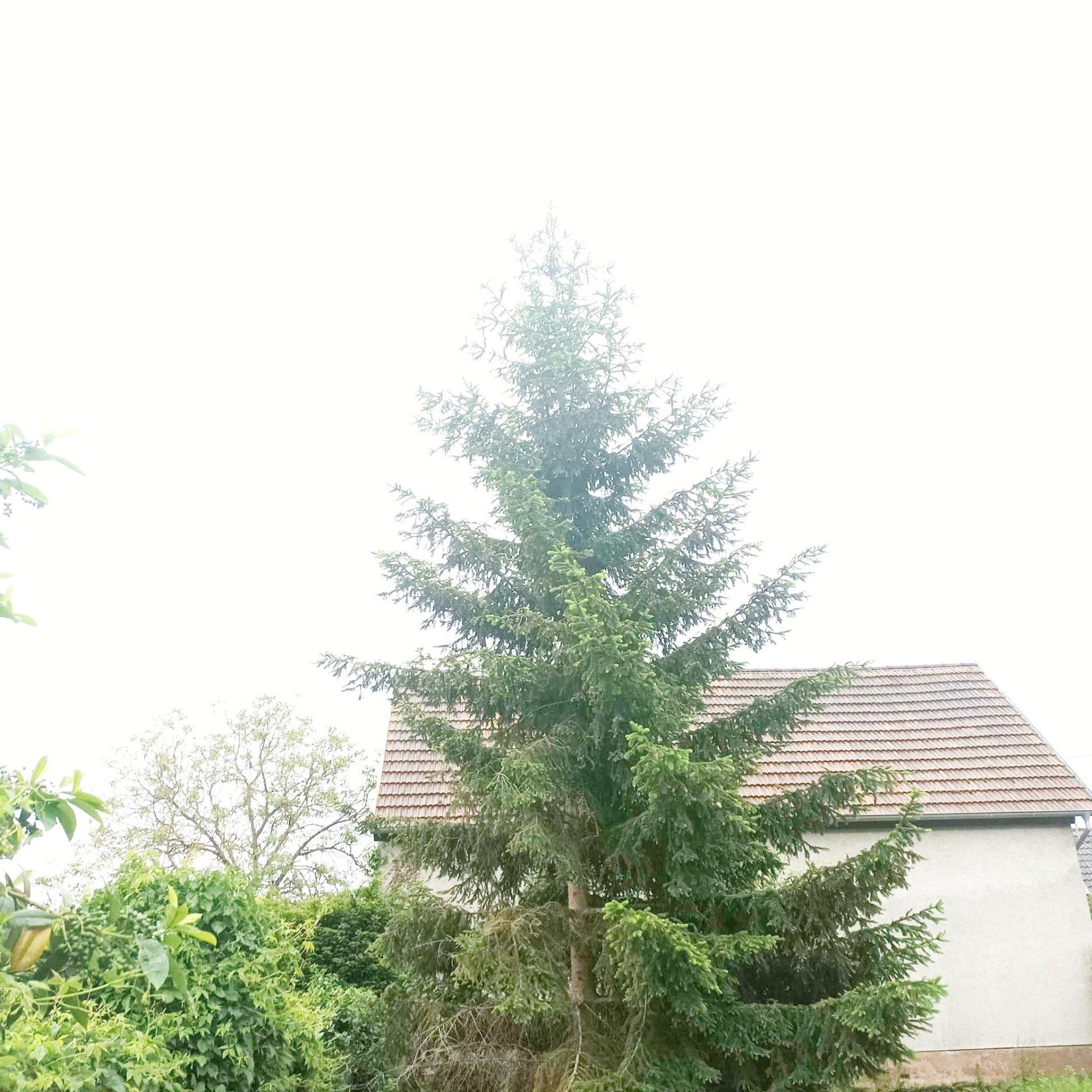 Miniature photo - 3 / 3