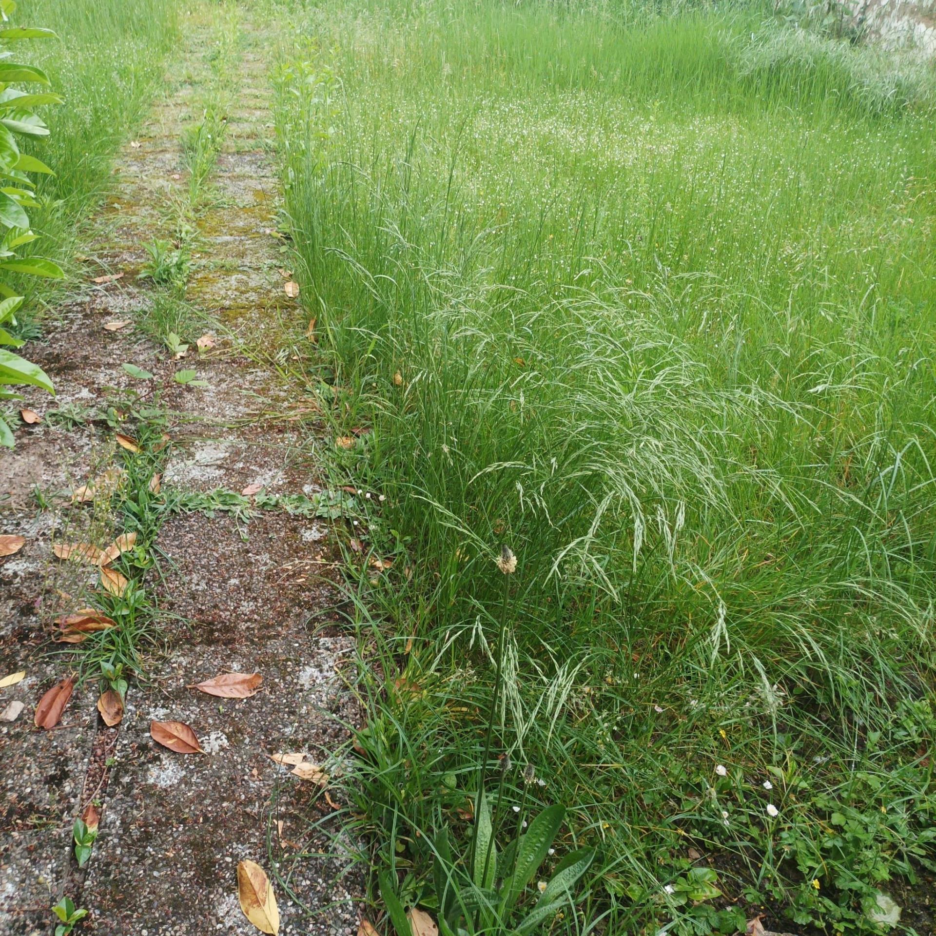 Miniature photo - 2 / 3