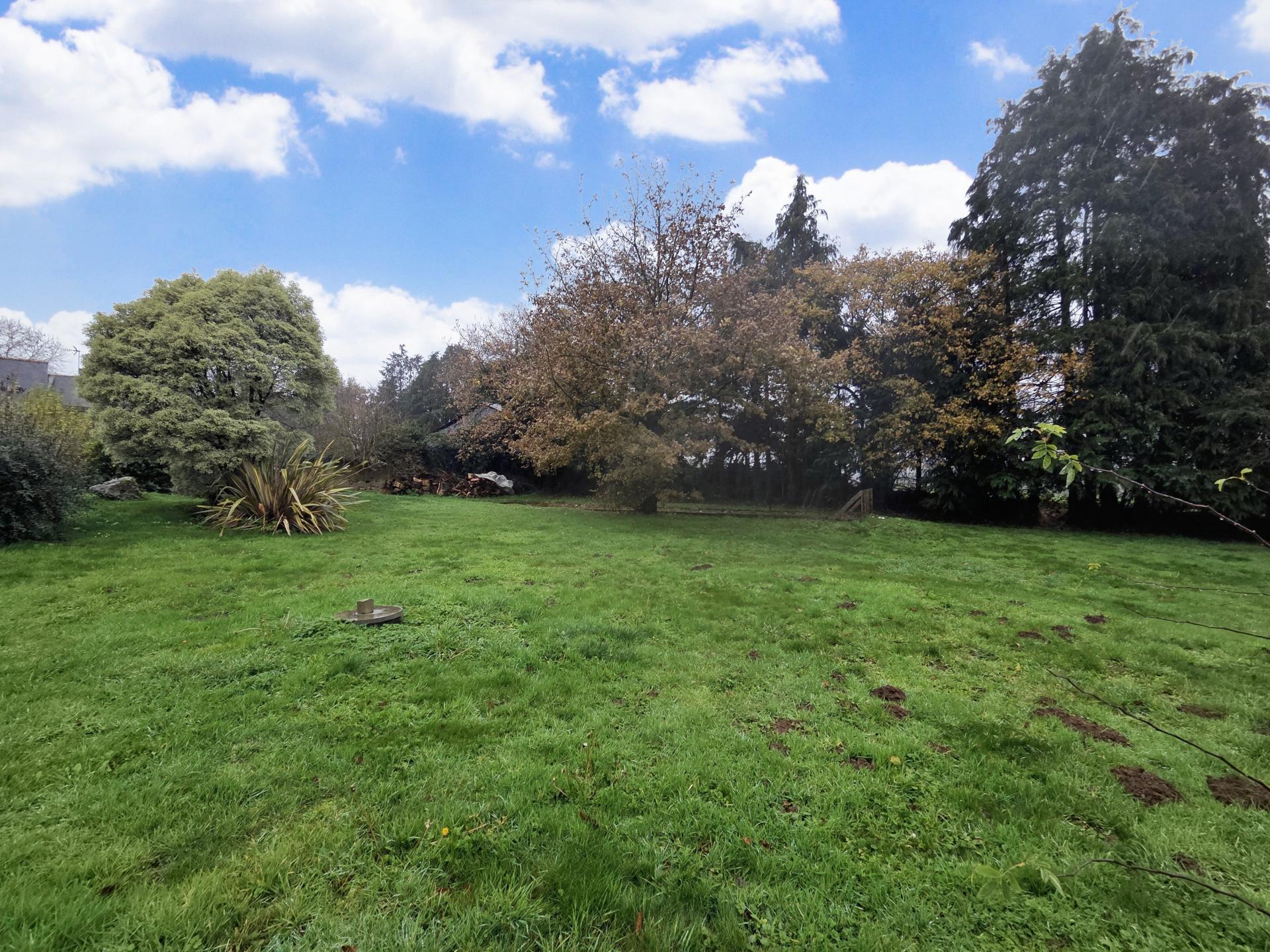 Miniature photo - 10 / 12