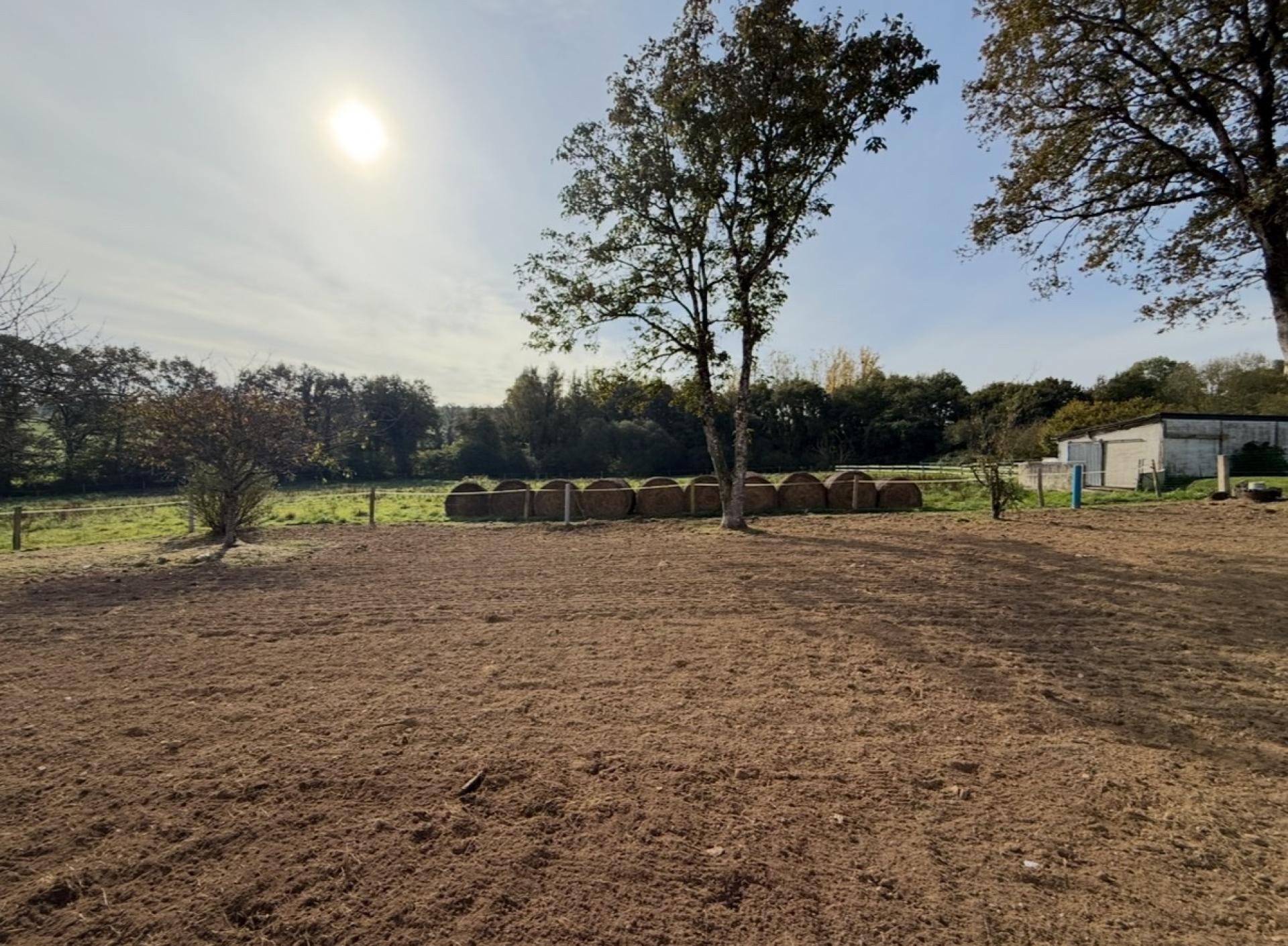 Miniature photo - 14 / 15