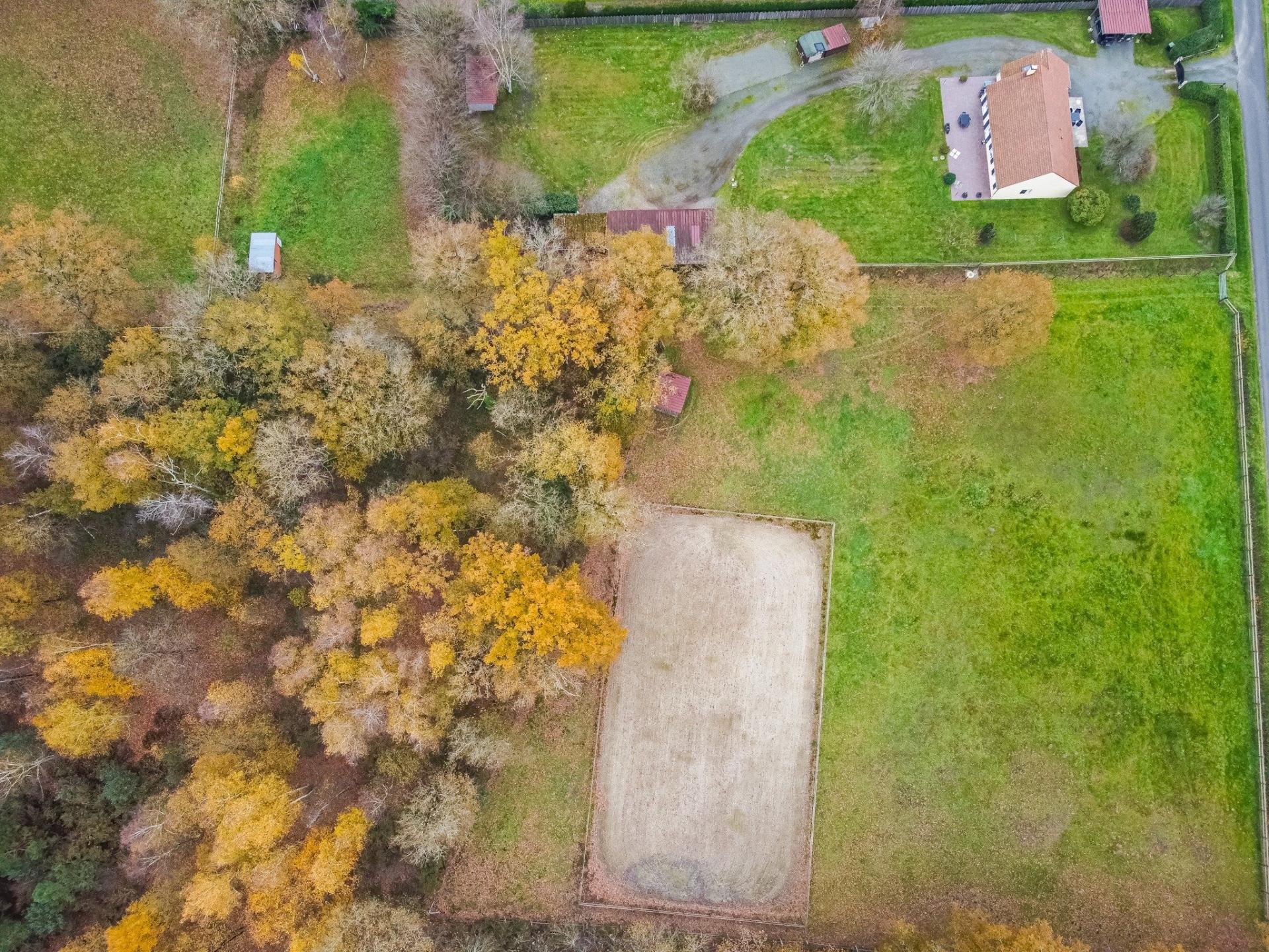 Miniature photo - 3 / 19