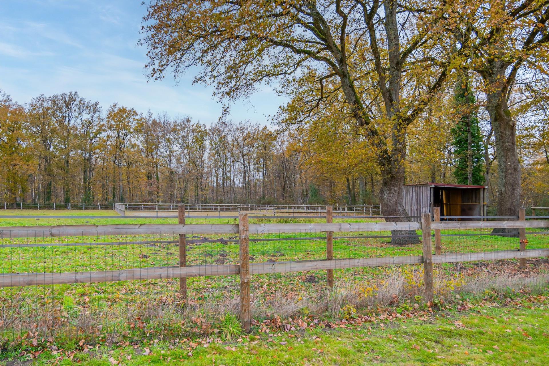 Miniature photo - 17 / 19