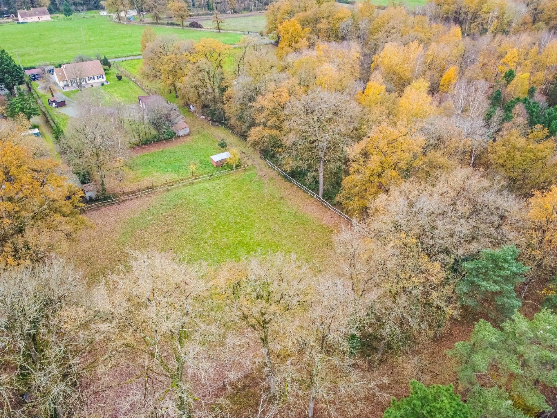 Miniature photo - 15 / 19