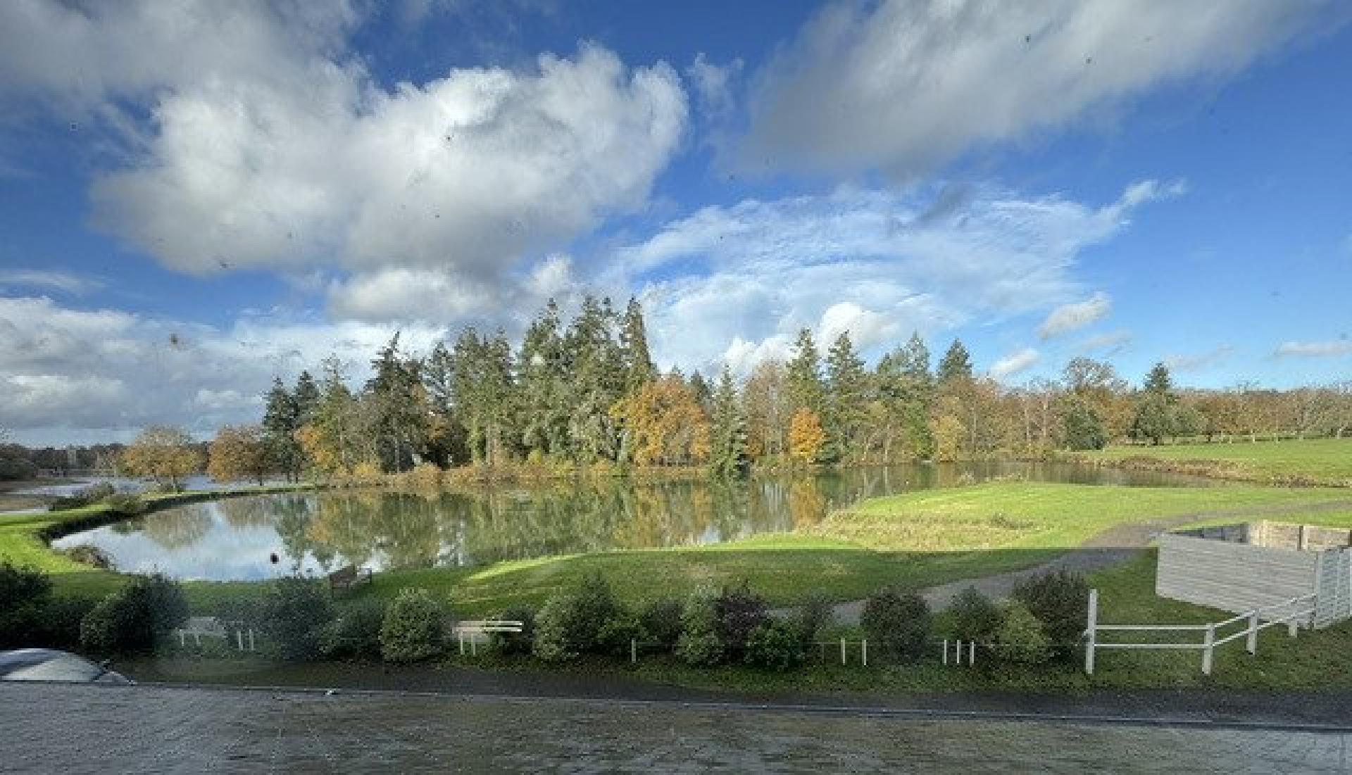 Miniature photo - 17 / 17