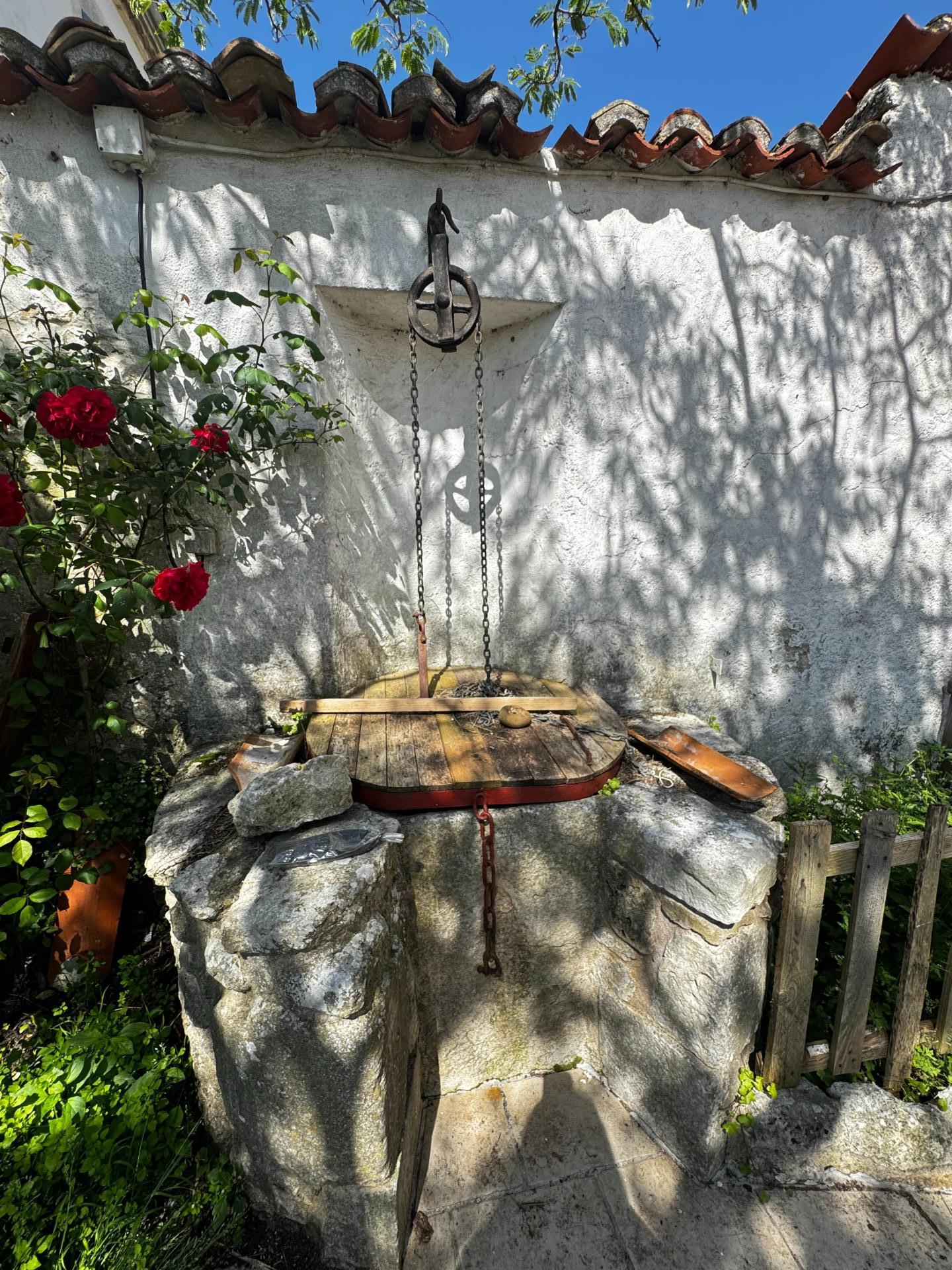 Miniature photo - 16 / 16