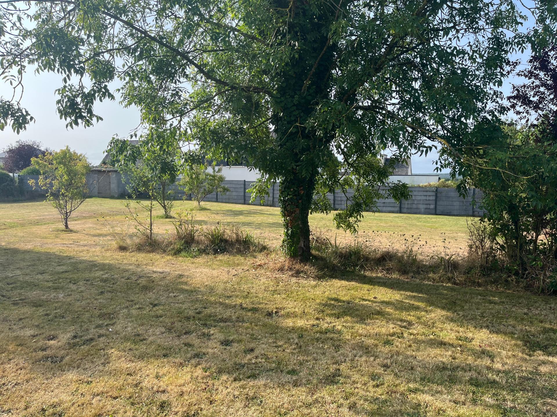 Miniature photo - 11 / 11