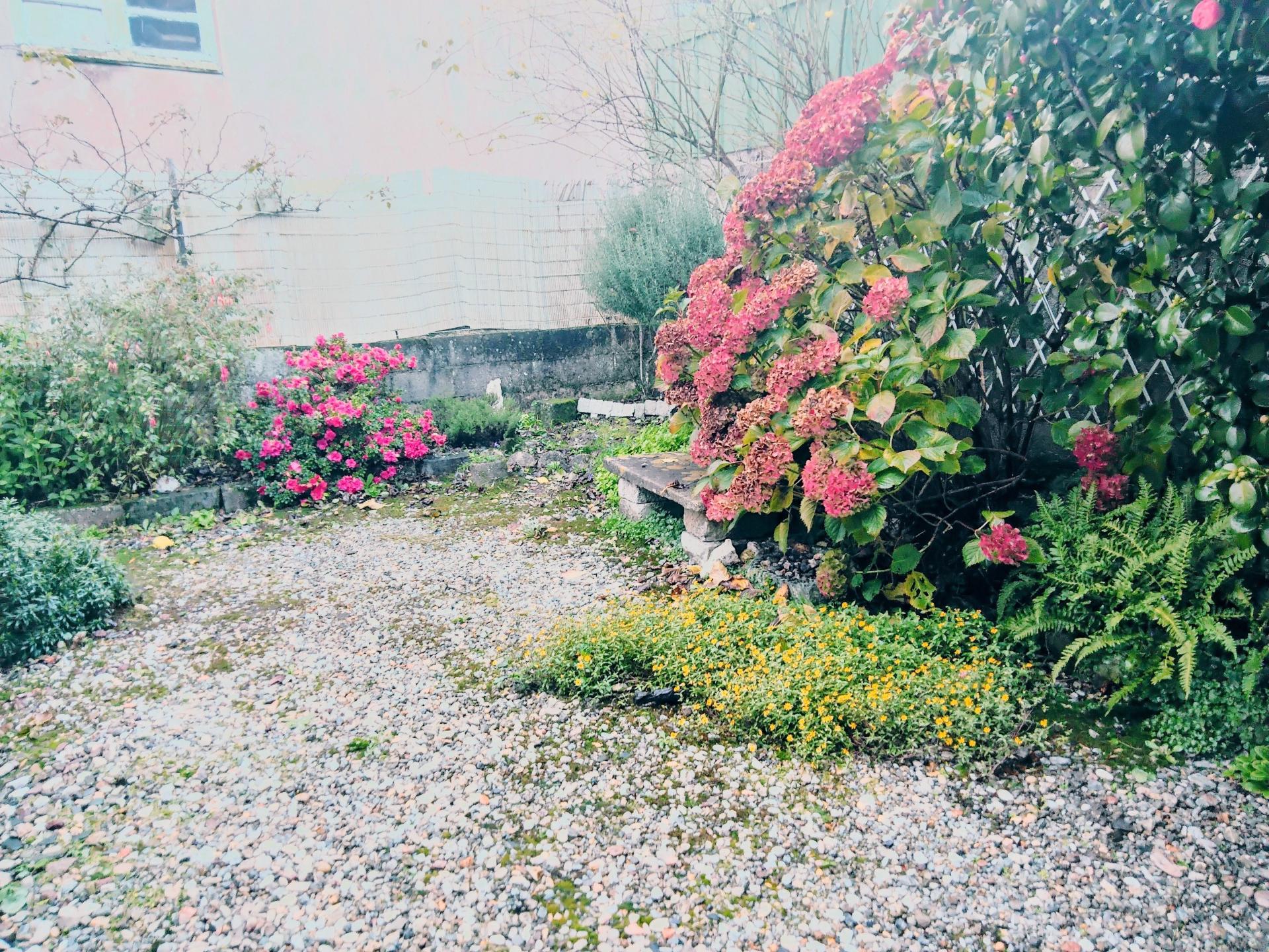 Miniature photo - 6 / 12