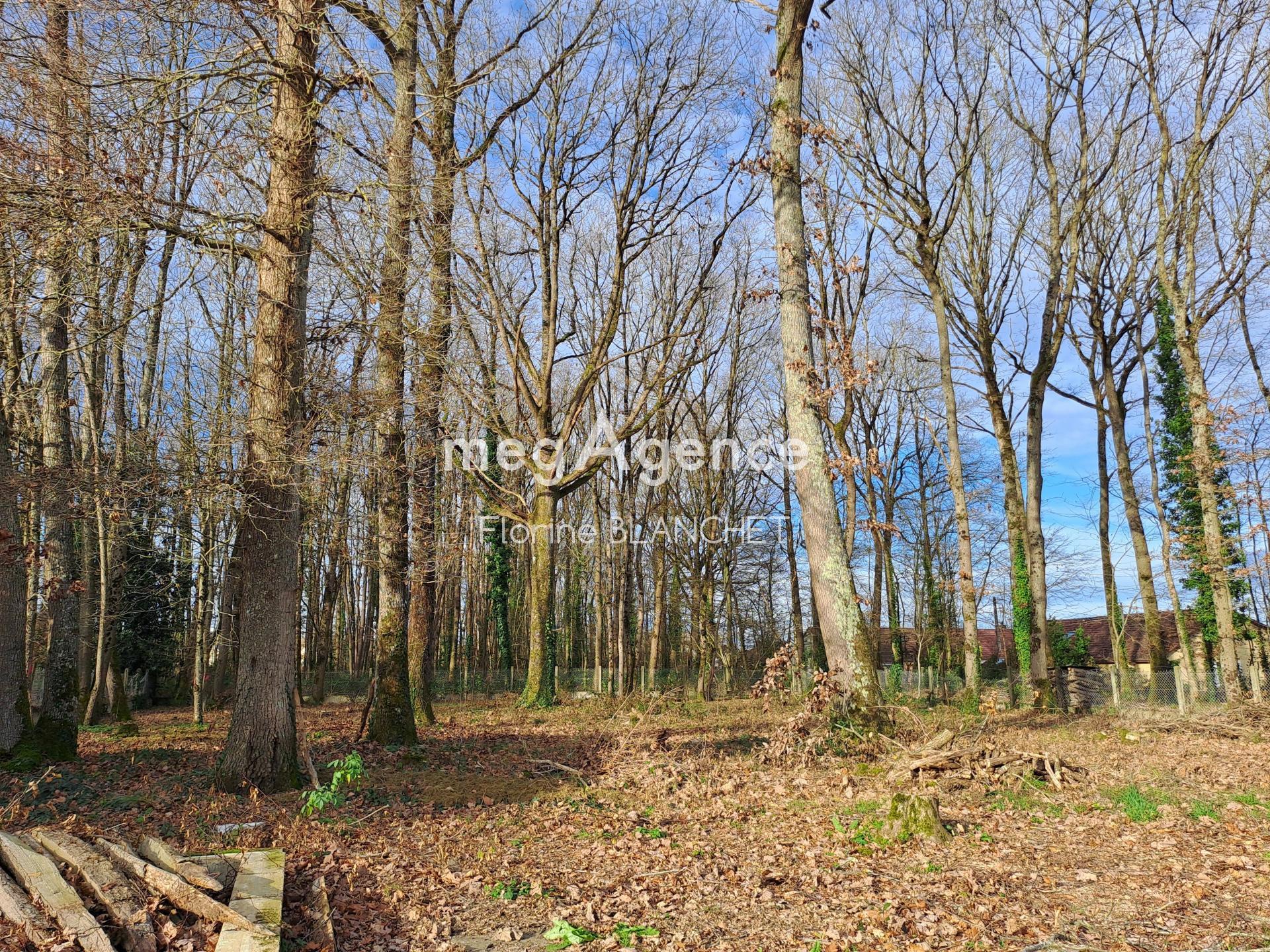 Miniature photo - 9 / 9