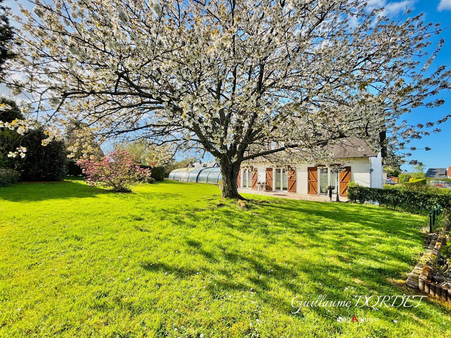 Miniature photo - 3 / 16