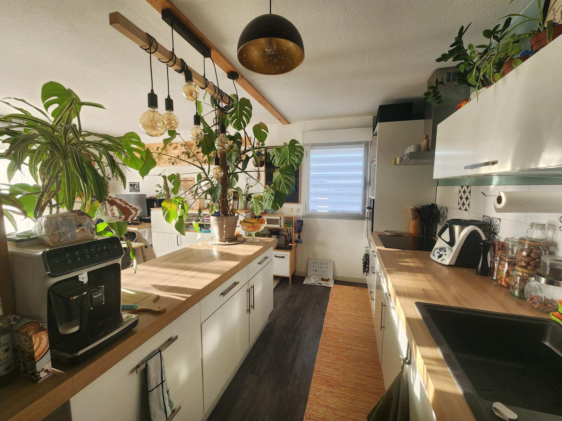 Miniature photo - 2 / 13