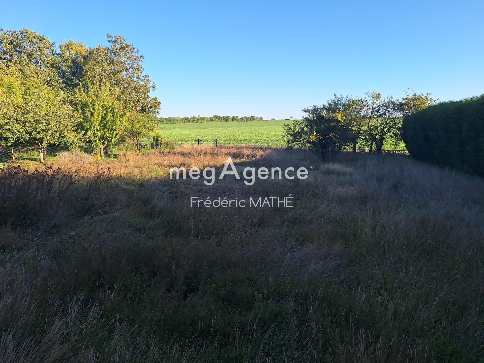 Miniature photo - 4 / 9