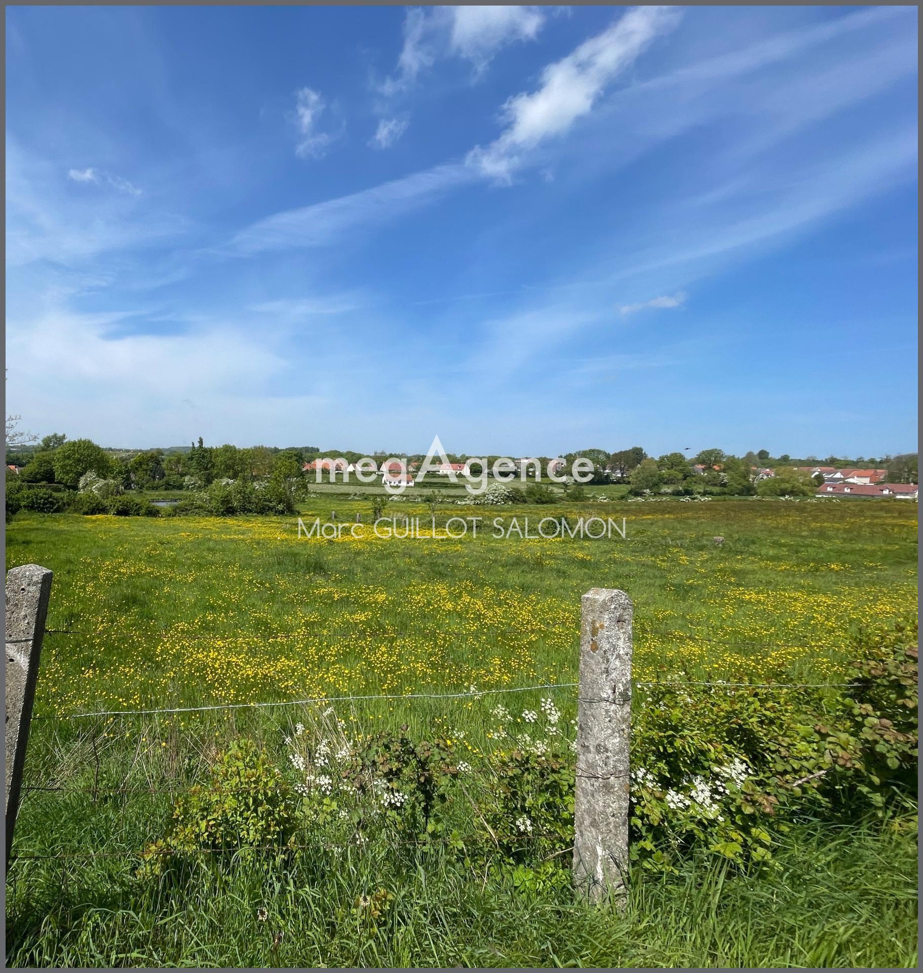 Miniature photo - 2 / 4