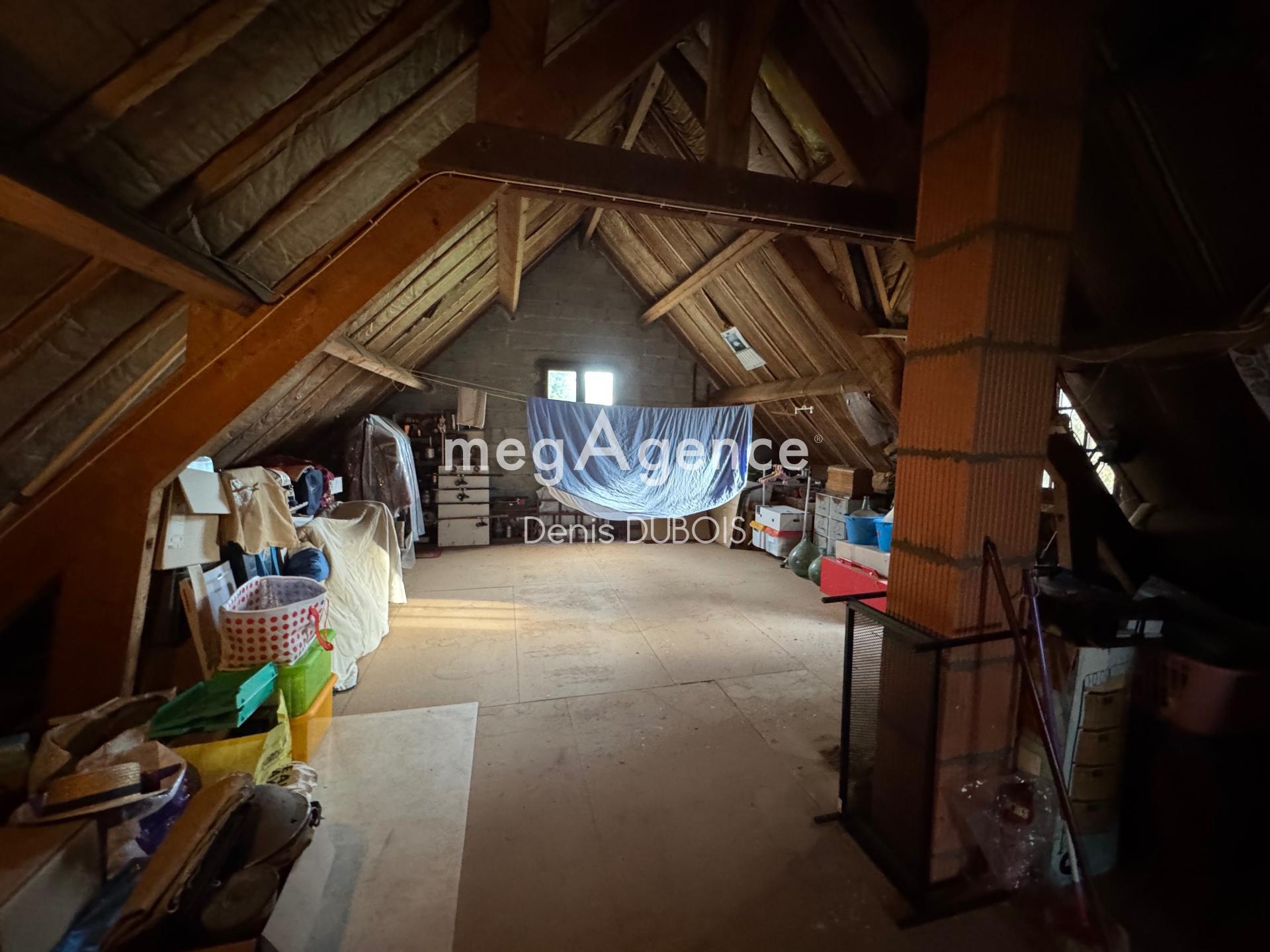 Miniature photo - 8 / 8