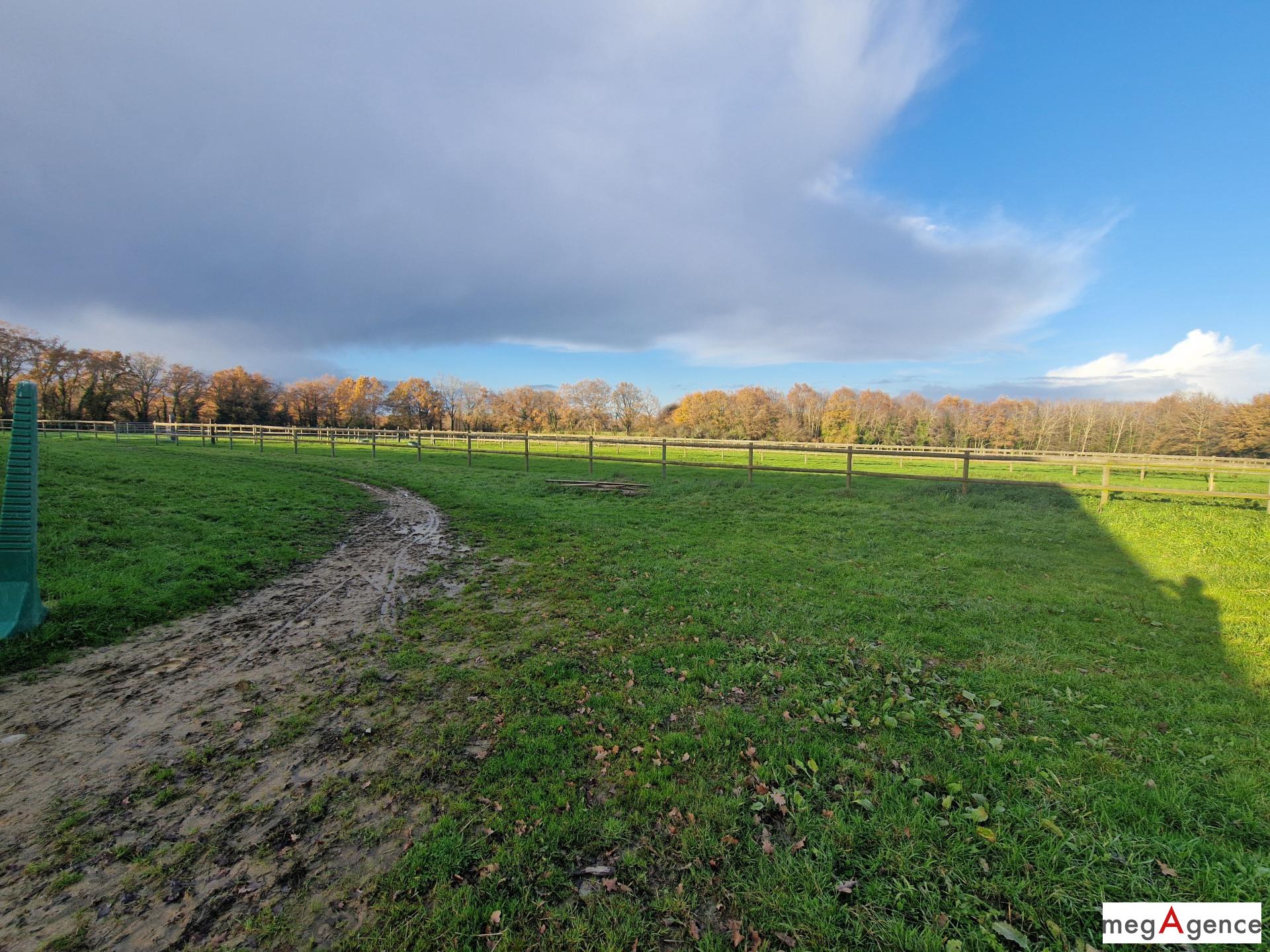 Miniature photo - 11 / 12