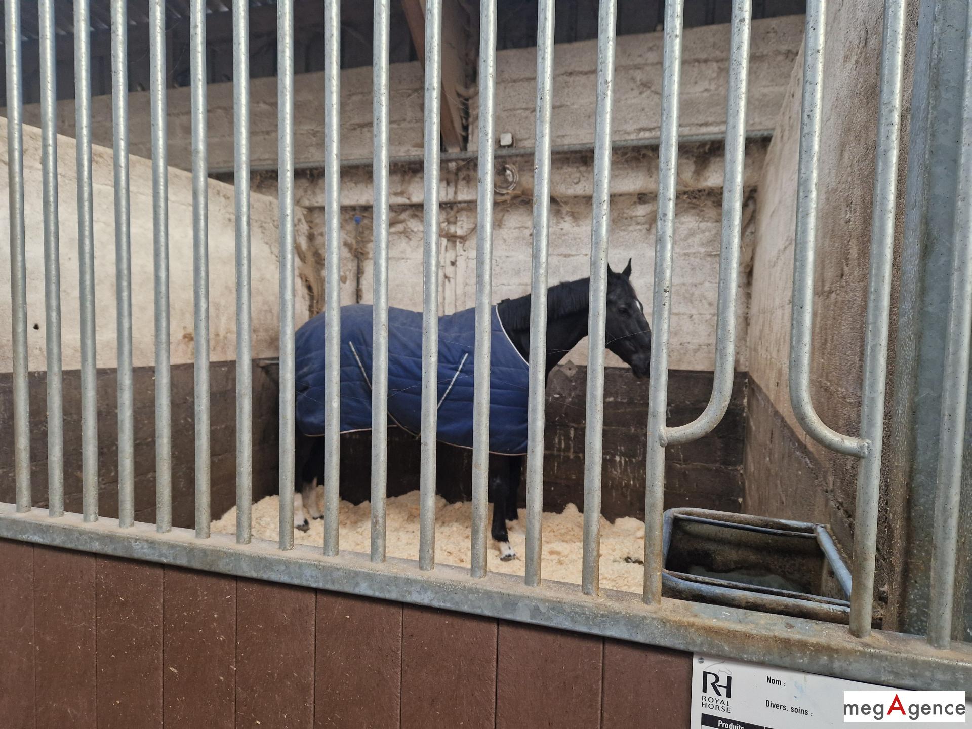 Miniature photo - 5 / 12