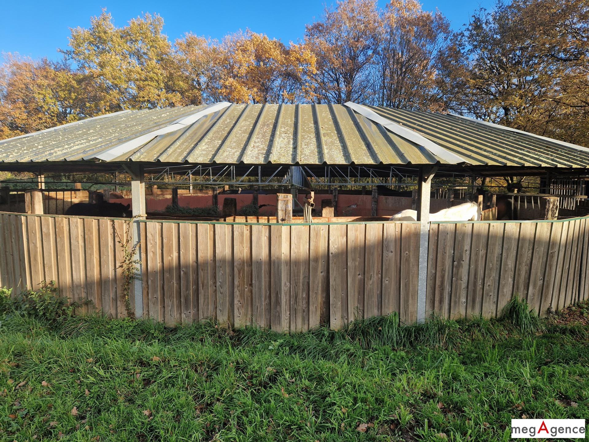 Miniature photo - 9 / 12