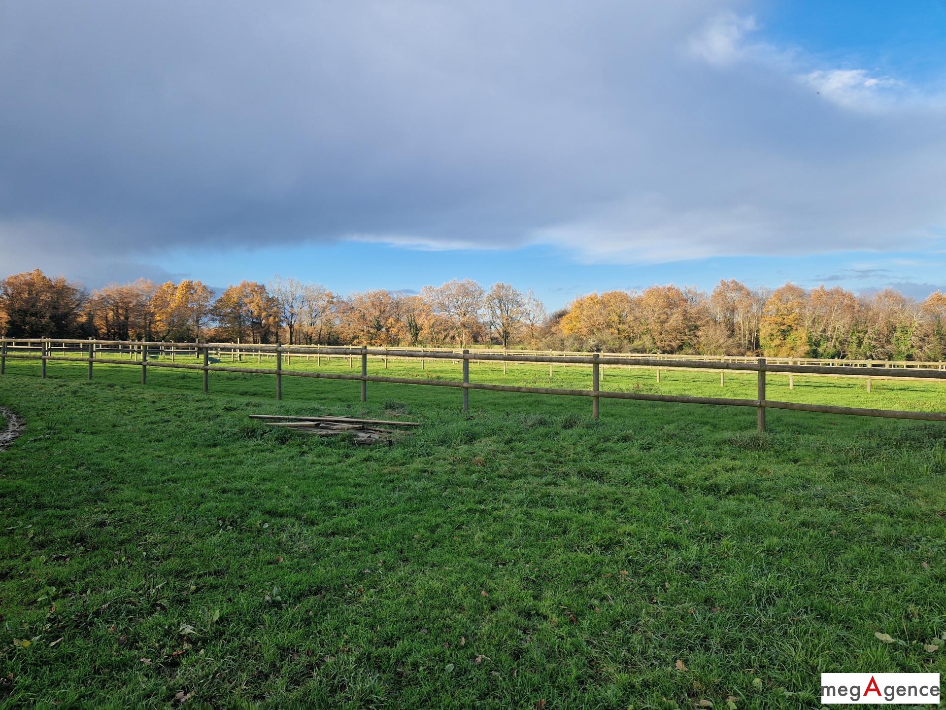 Miniature photo - 10 / 12