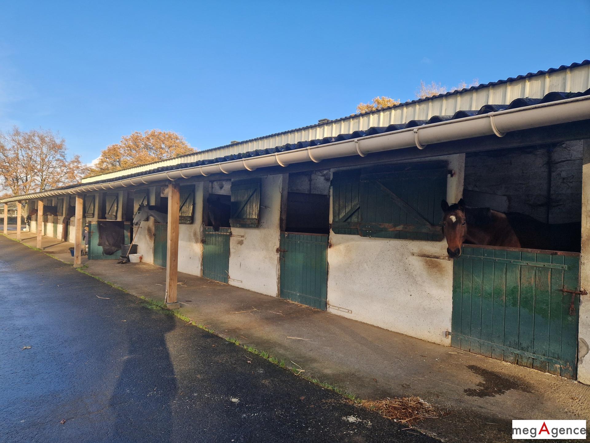 Miniature photo - 3 / 12