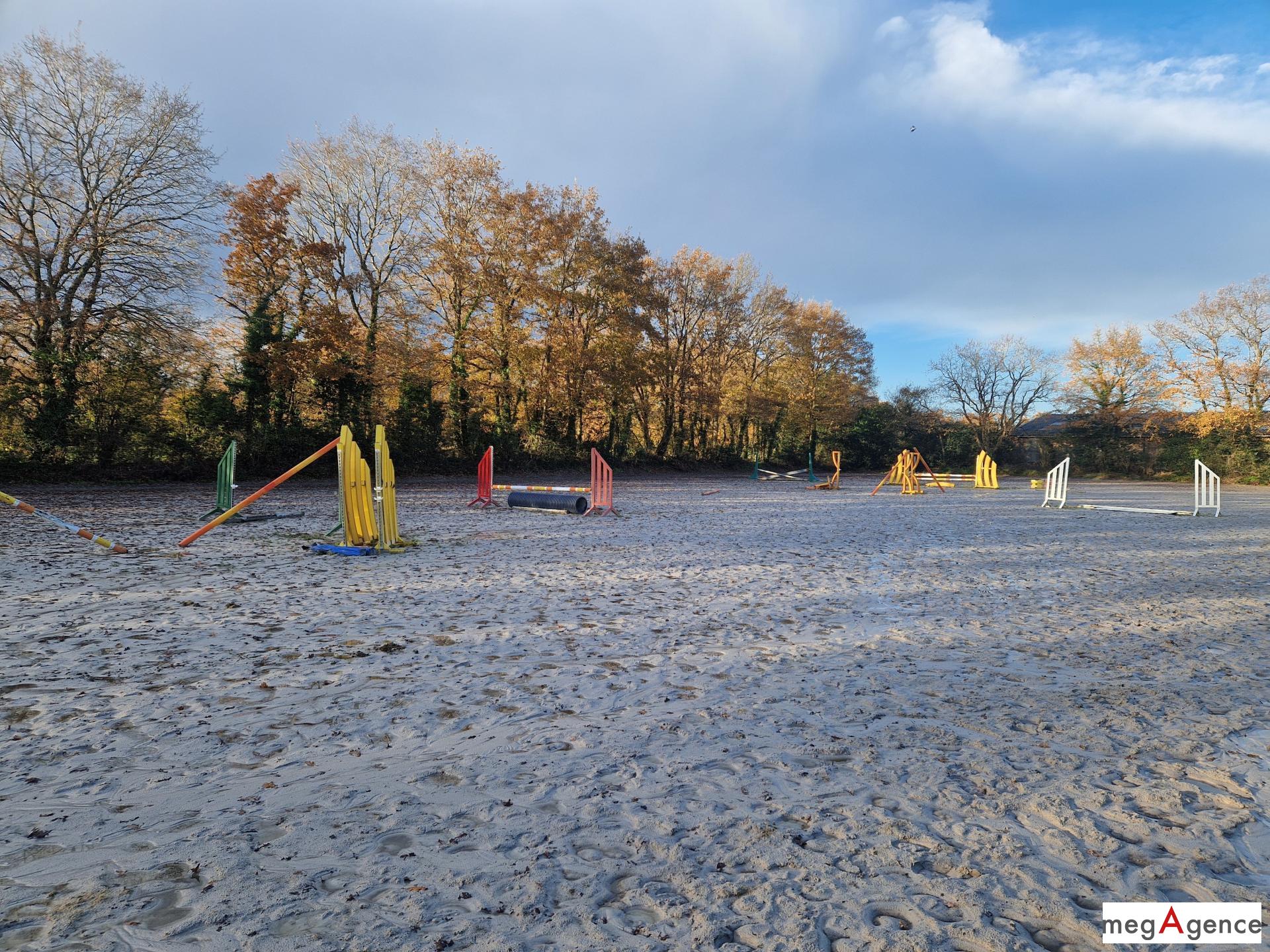 Miniature photo - 6 / 12