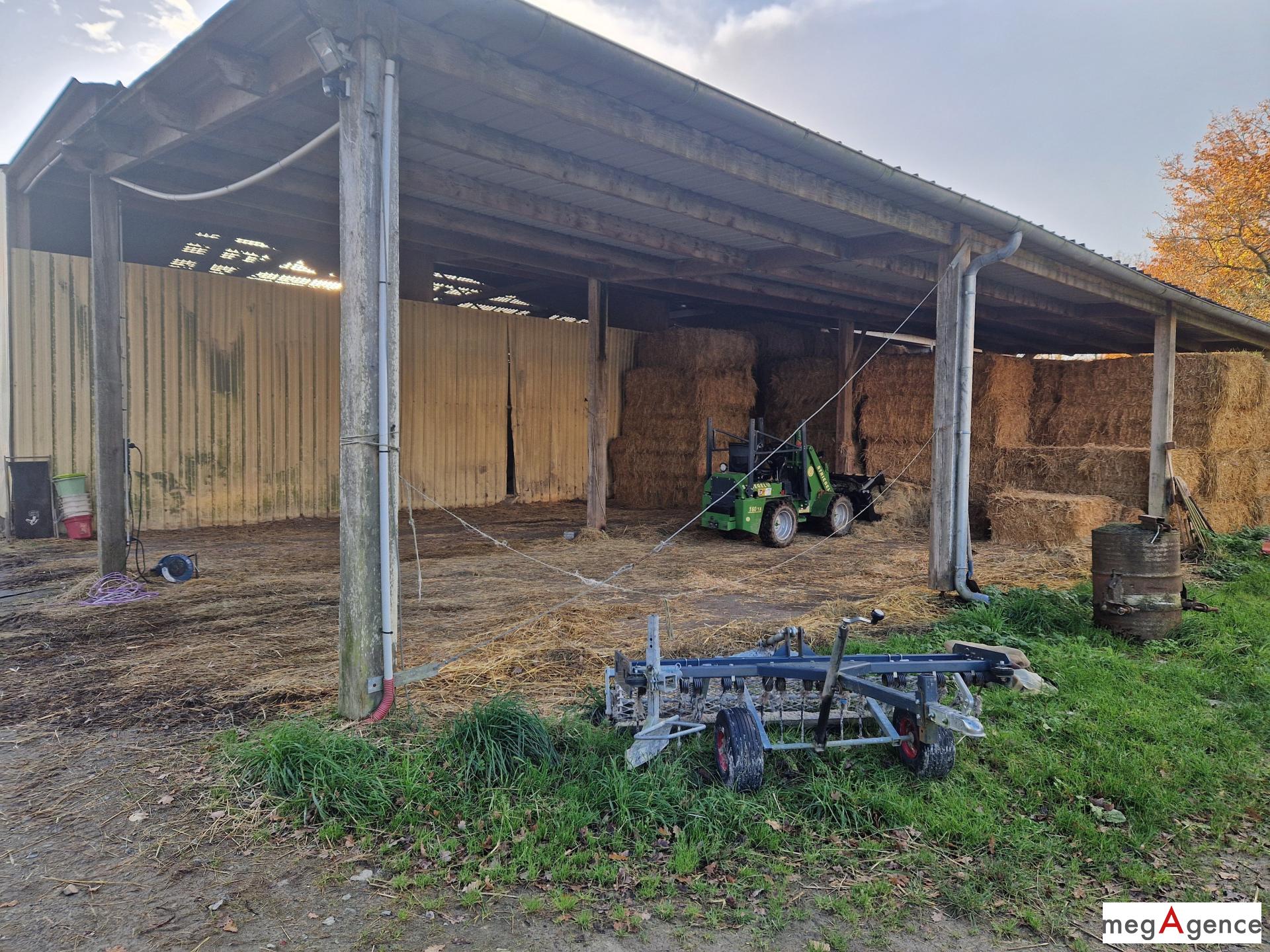 Miniature photo - 12 / 12