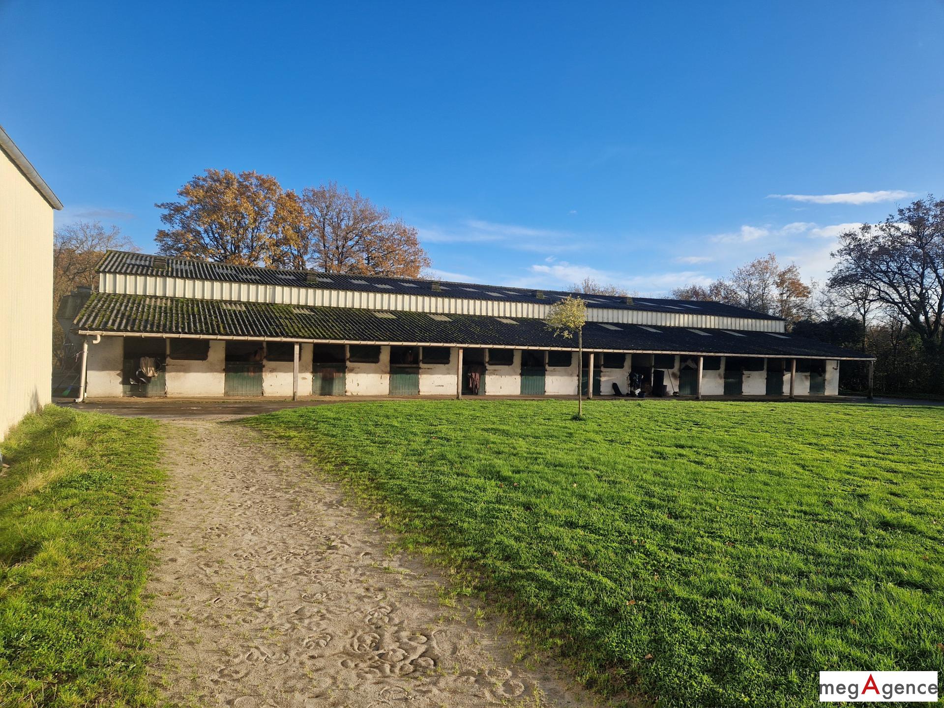 Miniature photo - 7 / 12