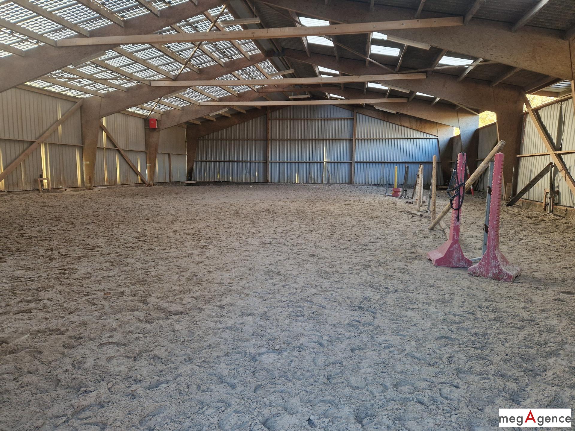 Miniature photo - 2 / 12