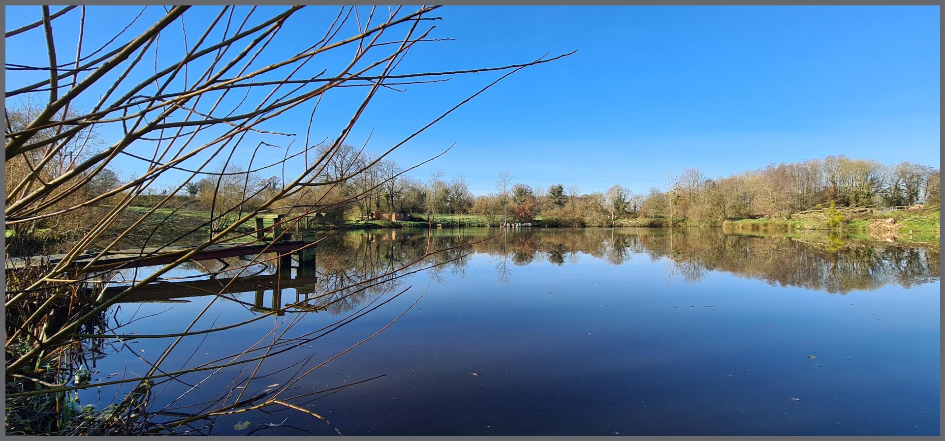 Miniature photo - 4 / 10