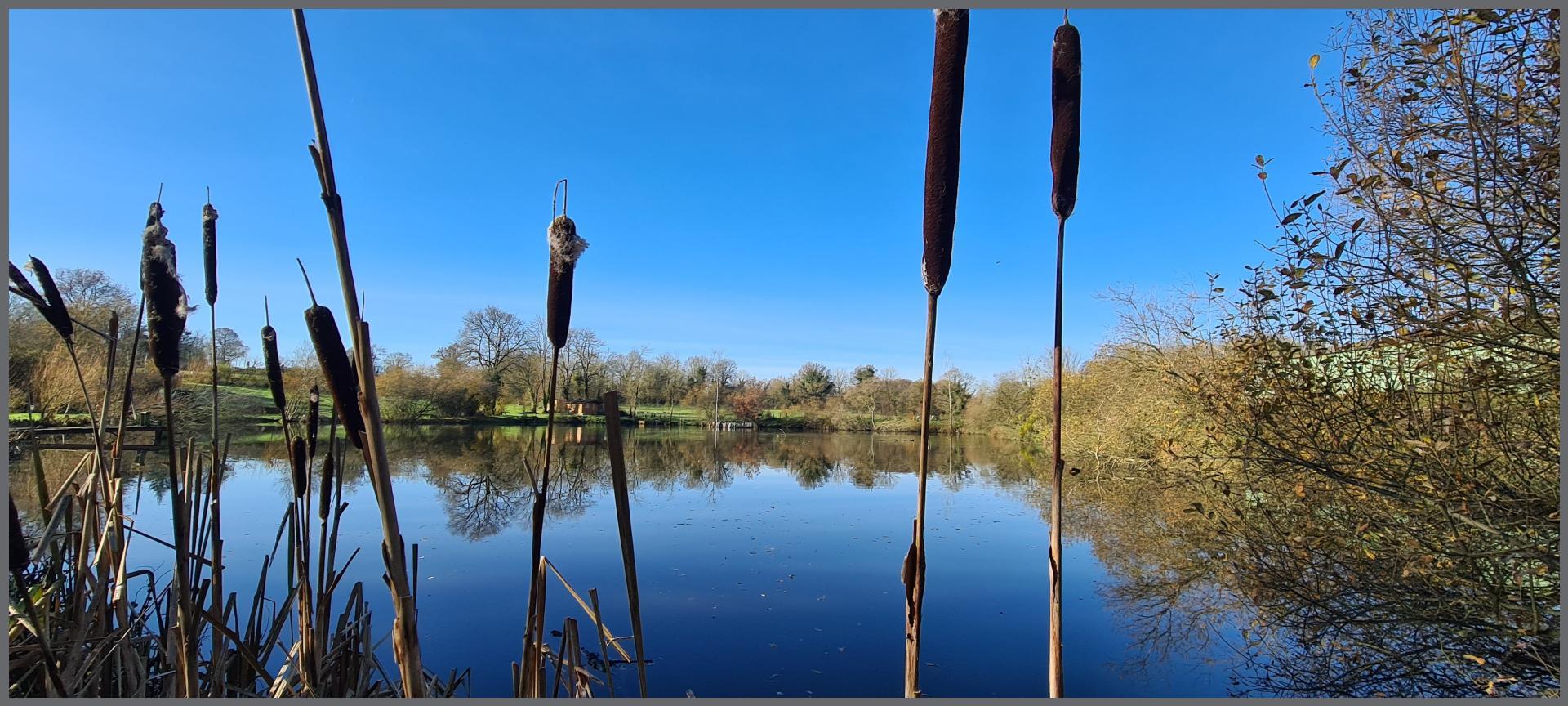 Miniature photo - 5 / 10