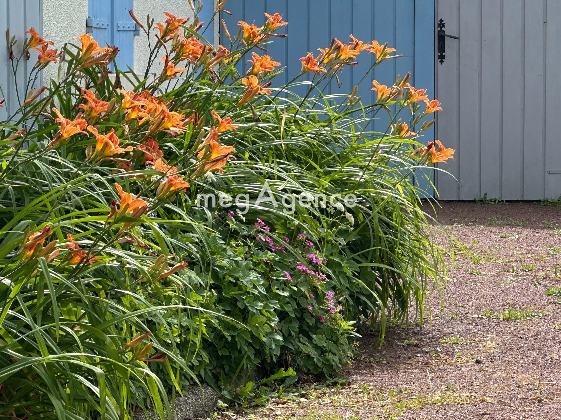 Miniature photo - 3 / 10