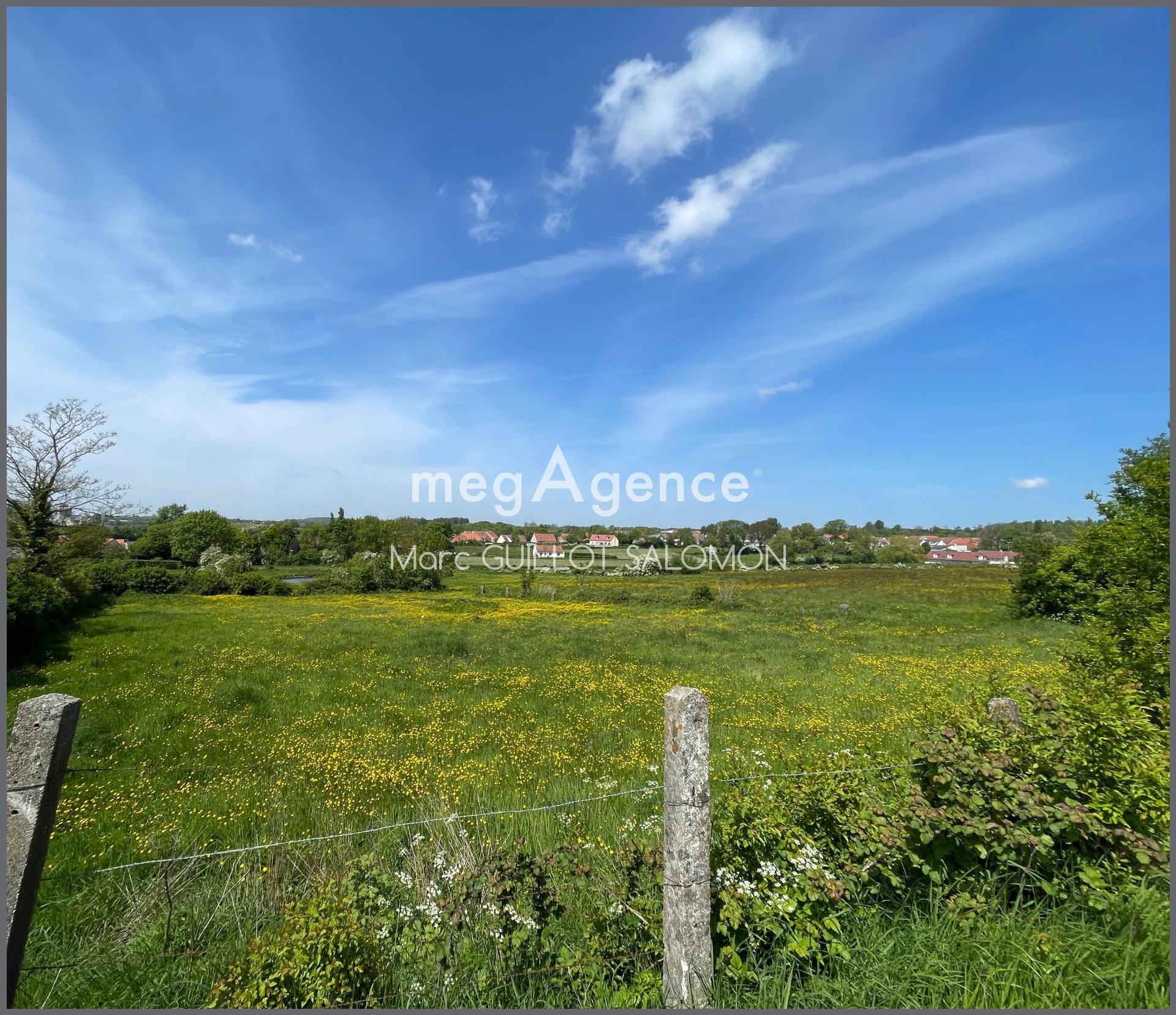 Miniature photo - 2 / 3