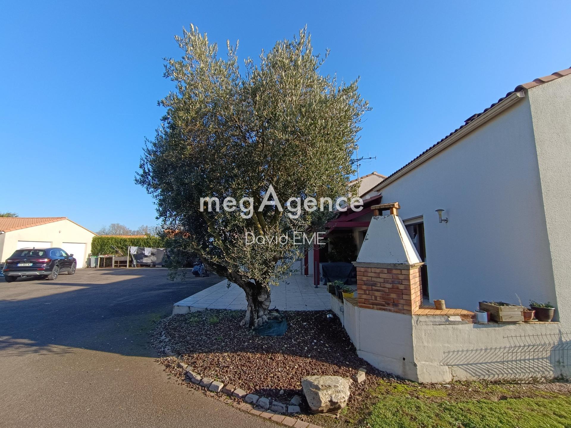 Miniature photo - 14 / 14