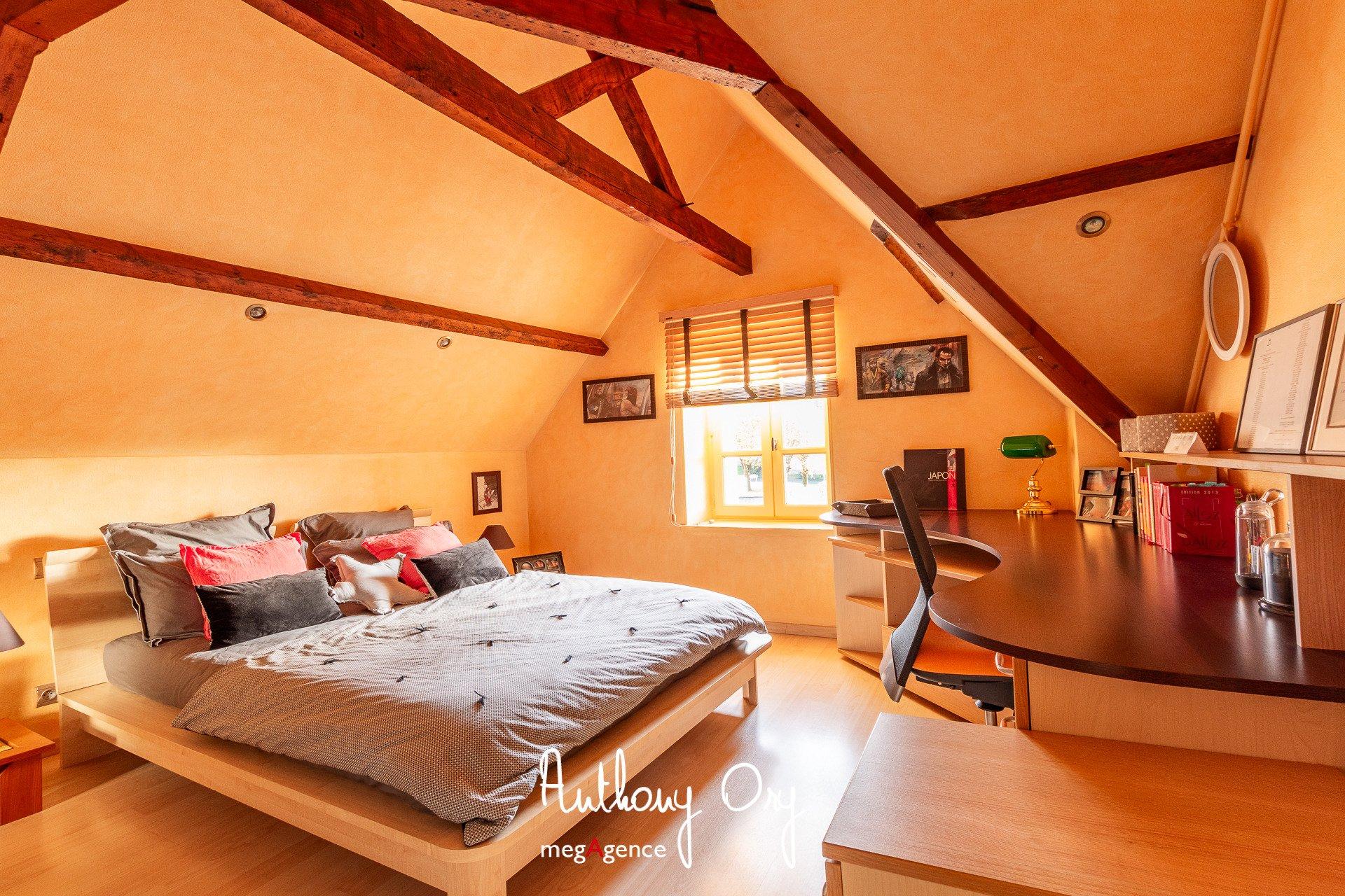 Miniature photo - 19 / 20