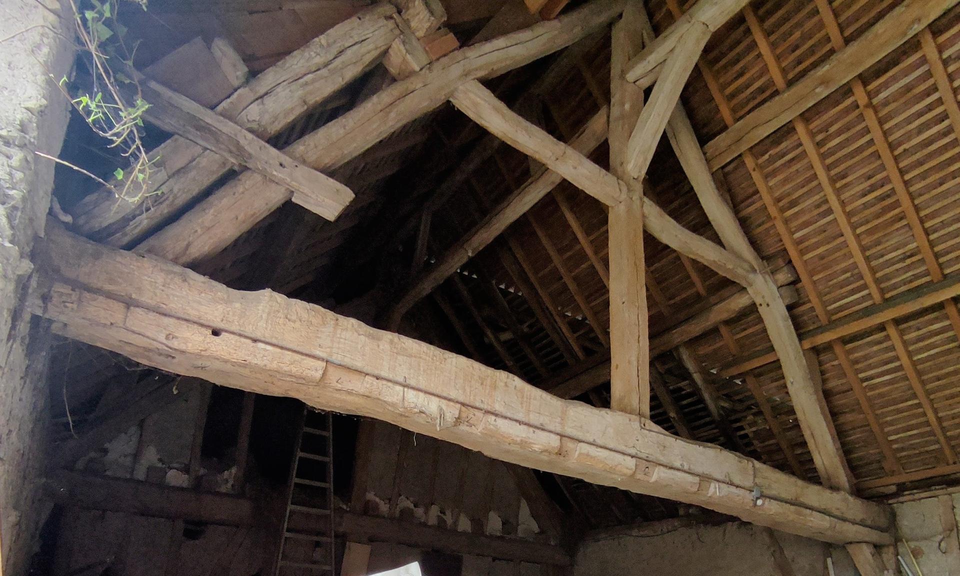 Miniature photo - 5 / 5