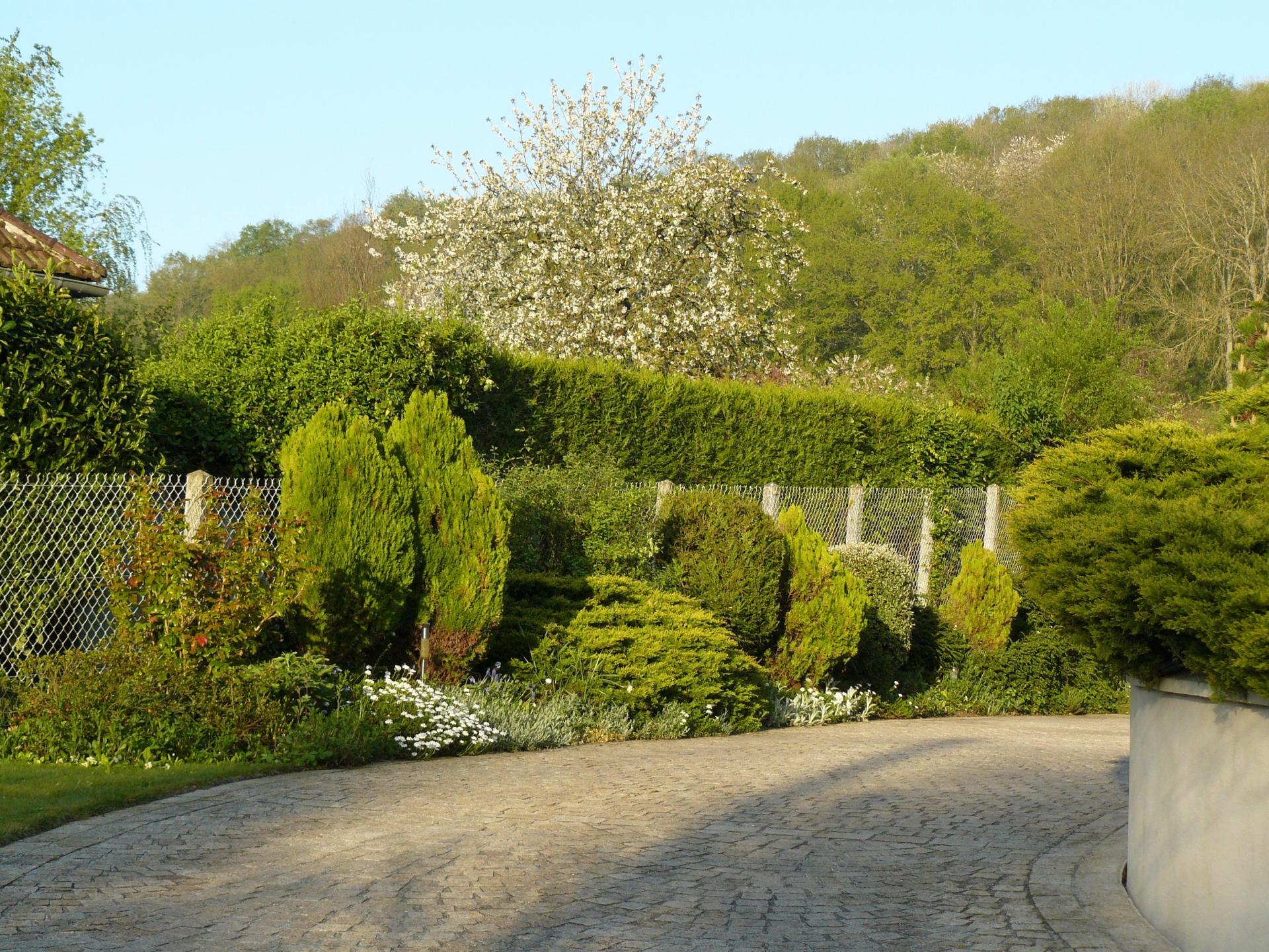 Miniature photo - 12 / 12