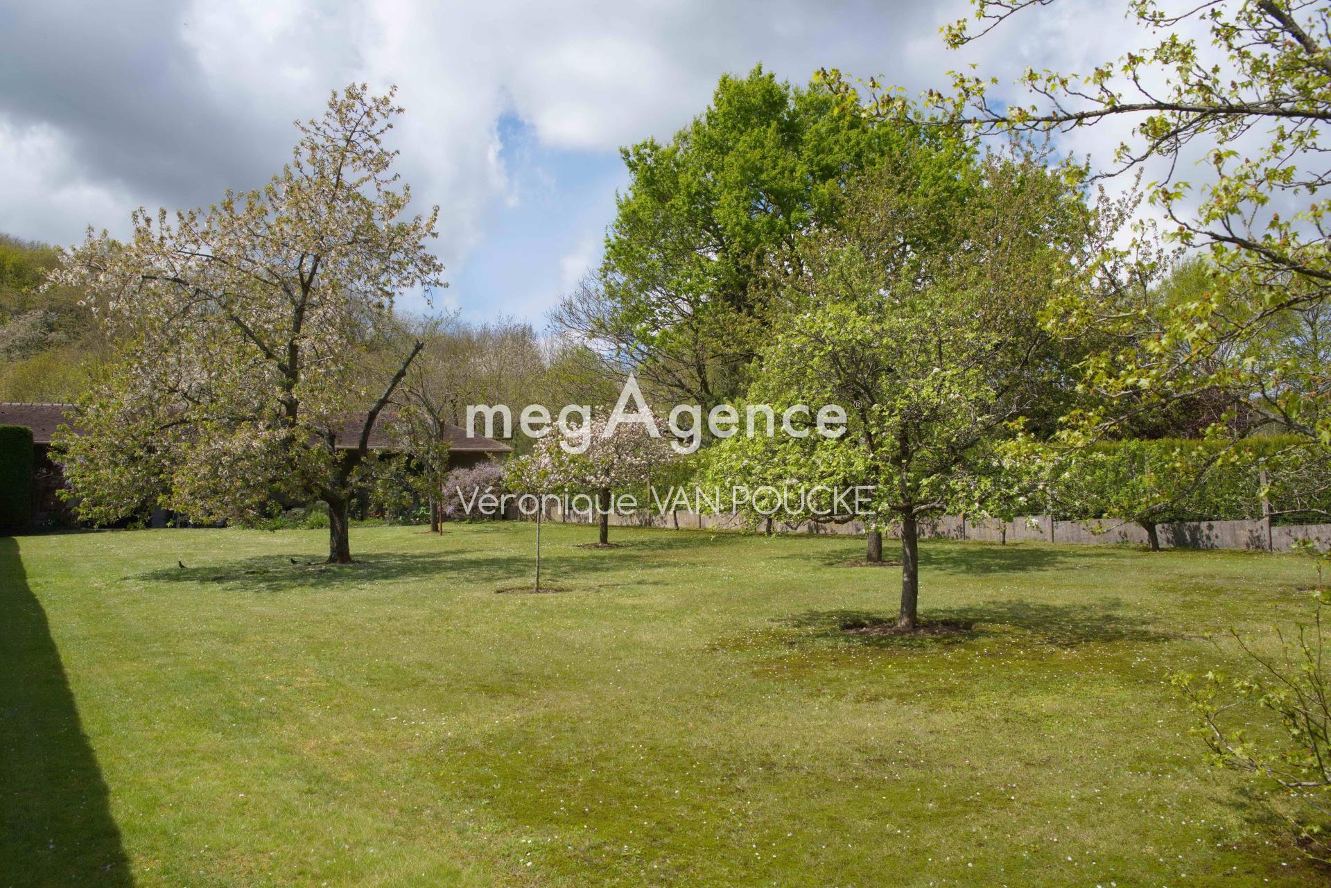 Miniature photo - 3 / 6