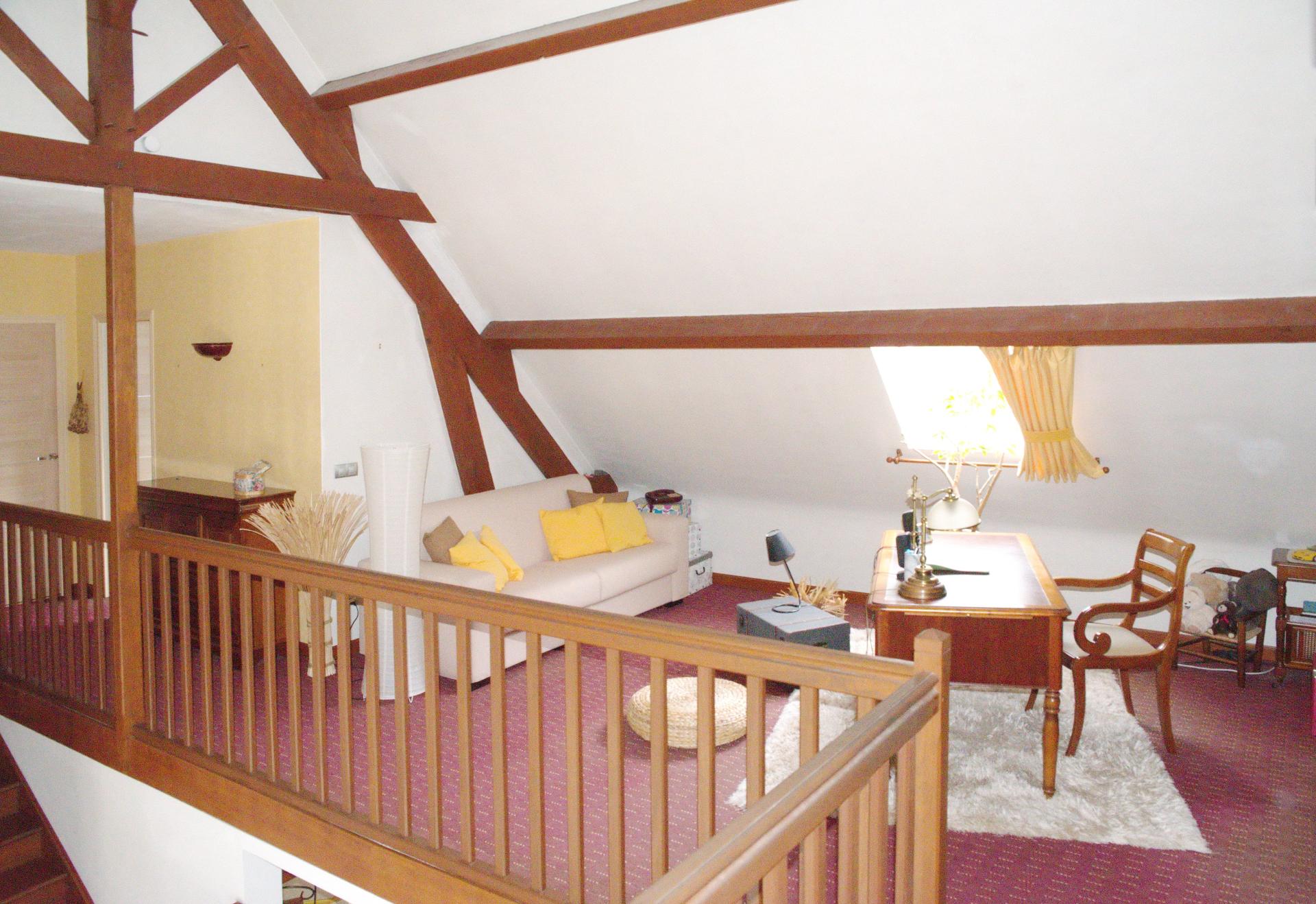 Miniature photo - 8 / 12