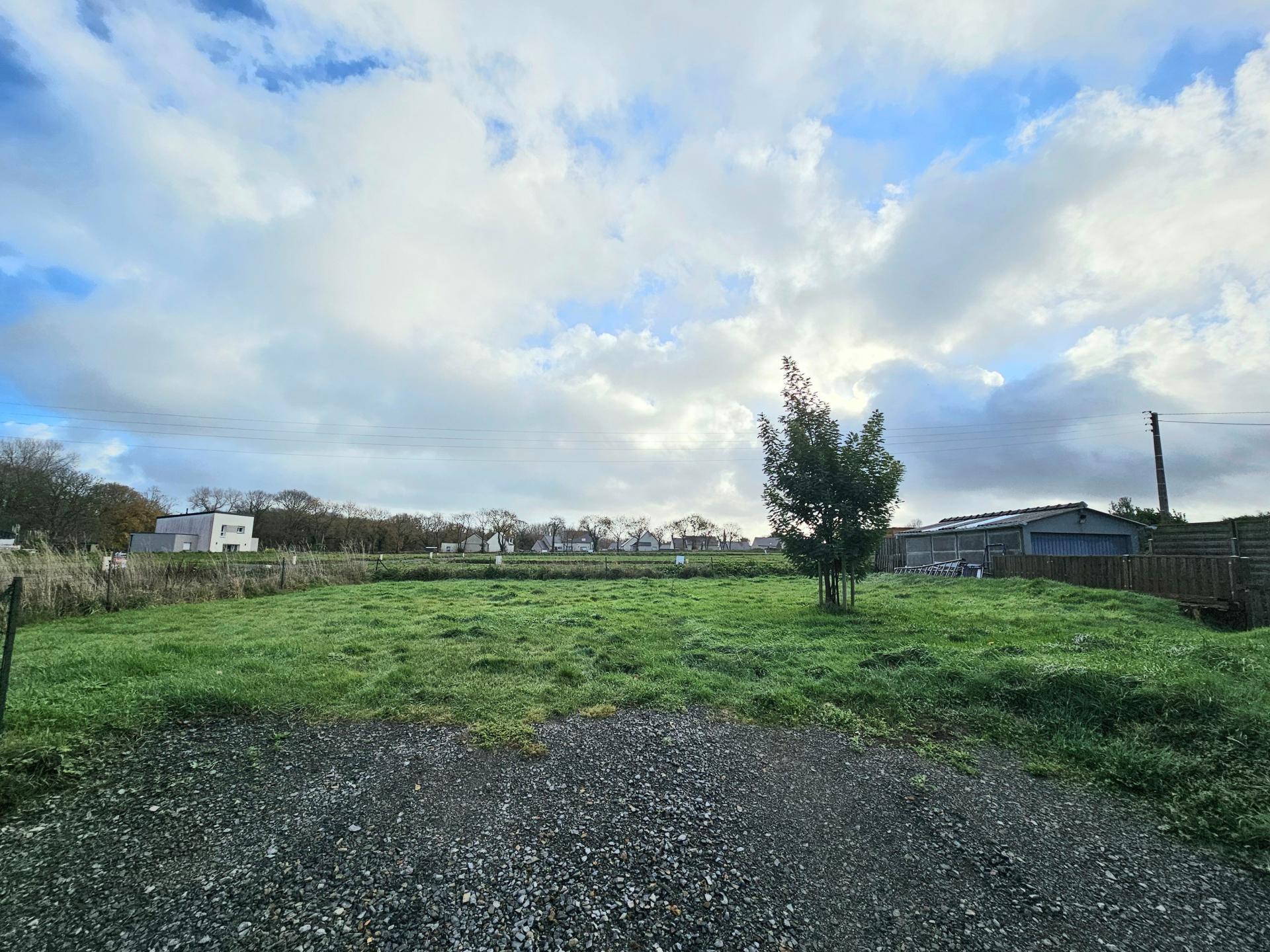 Miniature photo - 3 / 3