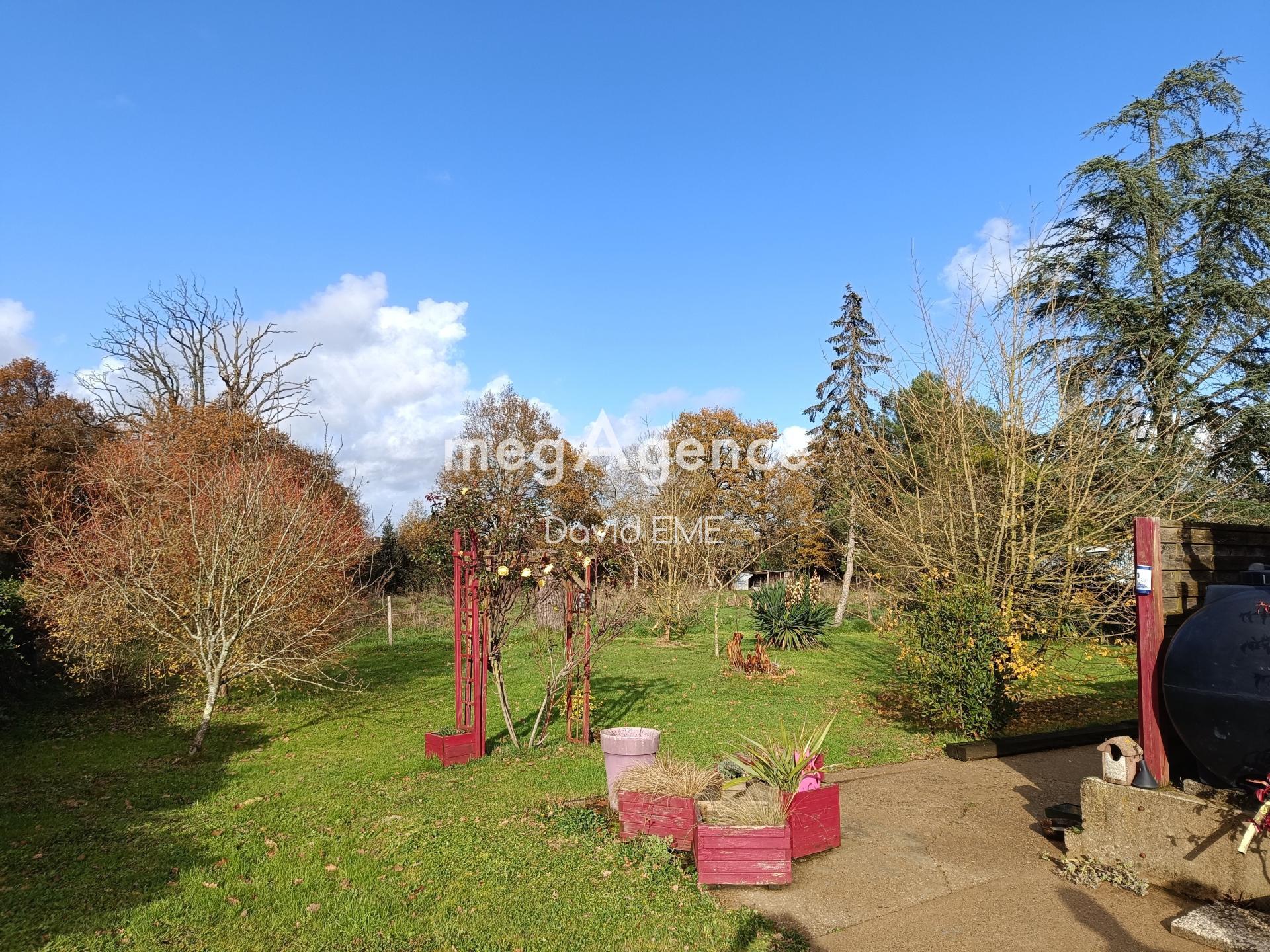 Miniature photo - 3 / 12