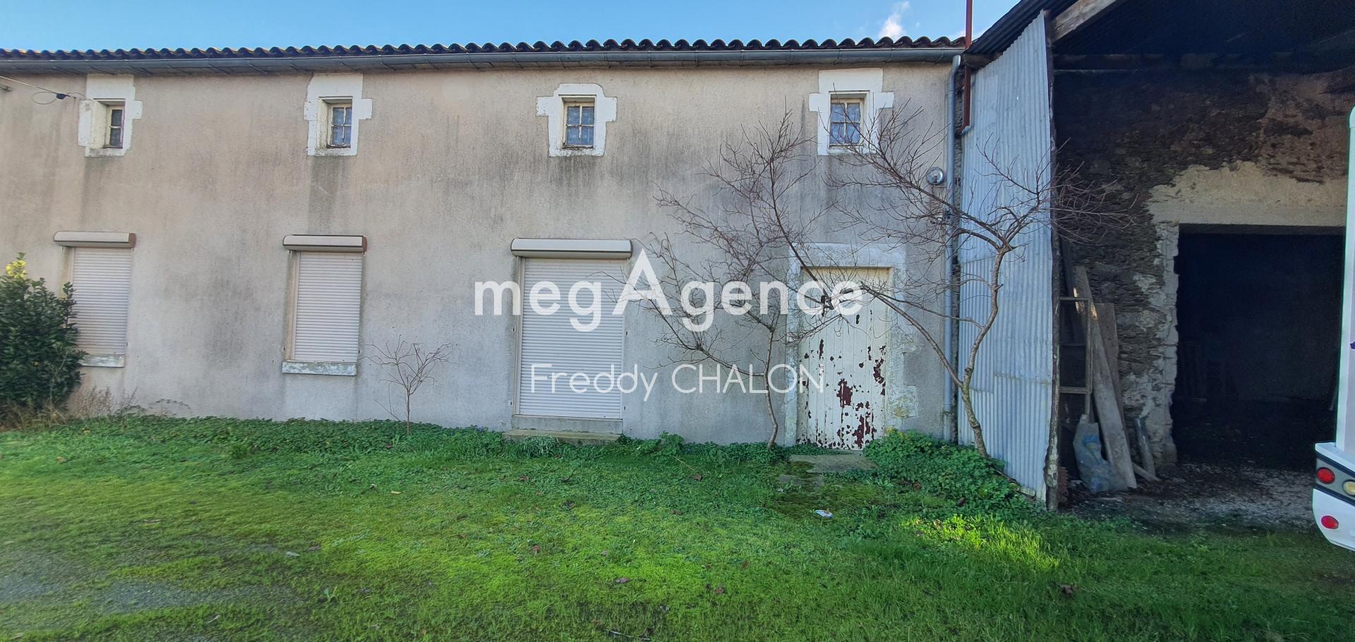 Miniature photo - 2 / 14