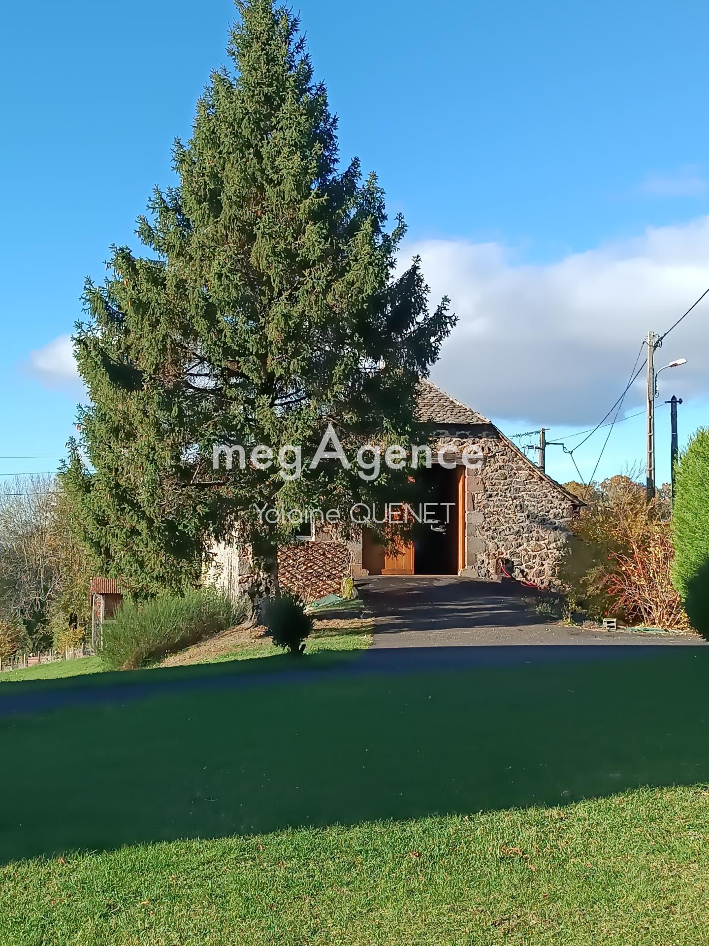 Miniature photo - 20 / 20